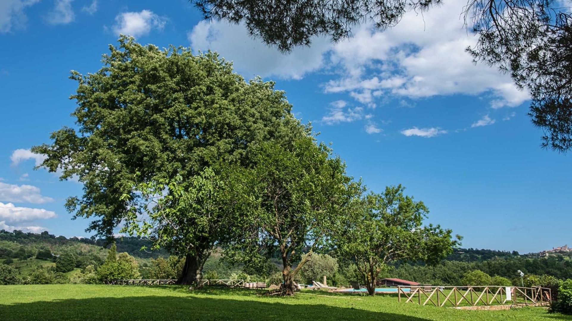 Agriturismo Bio Le Macchie Alte - Photo 51