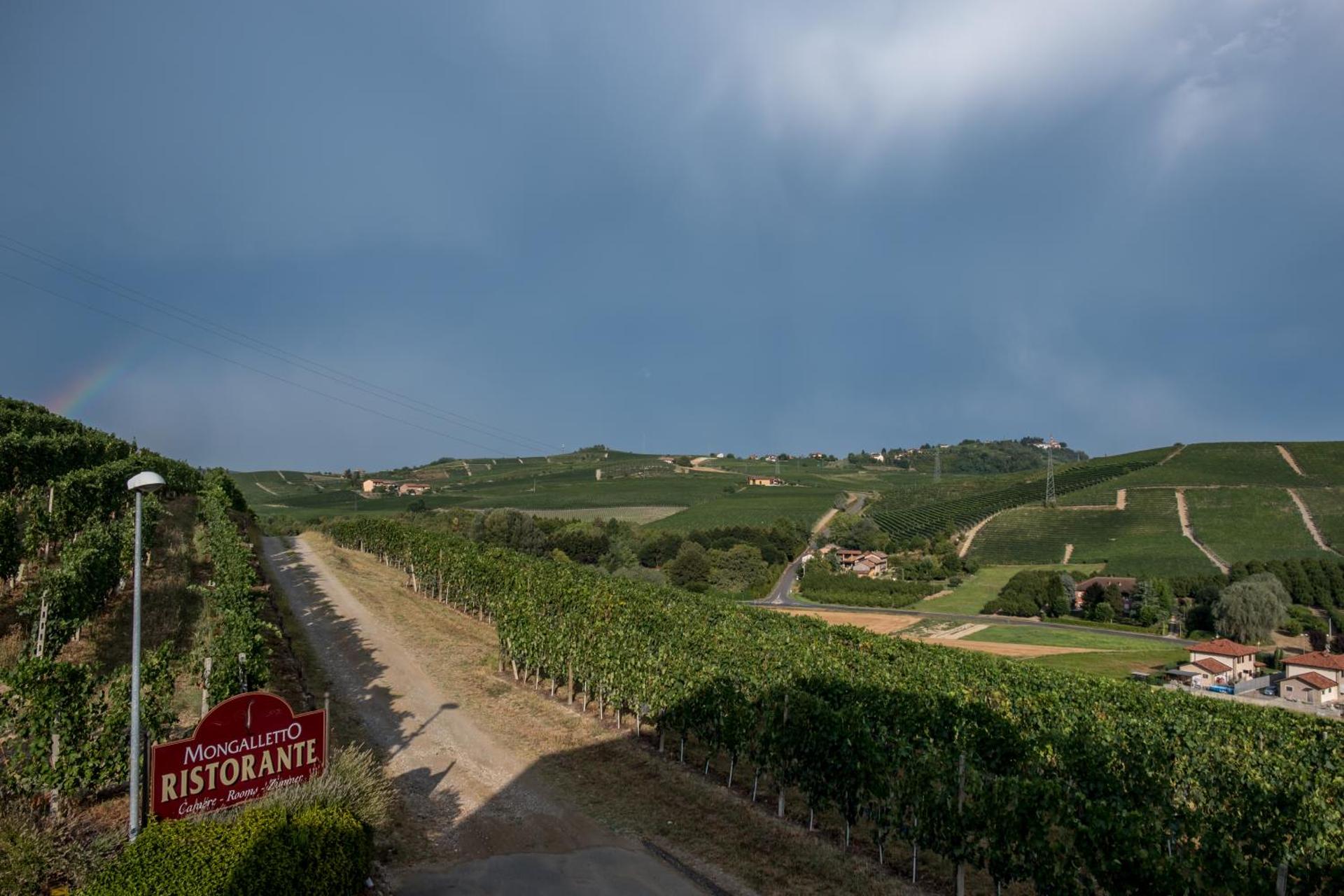 Mongalletto - Photo 77