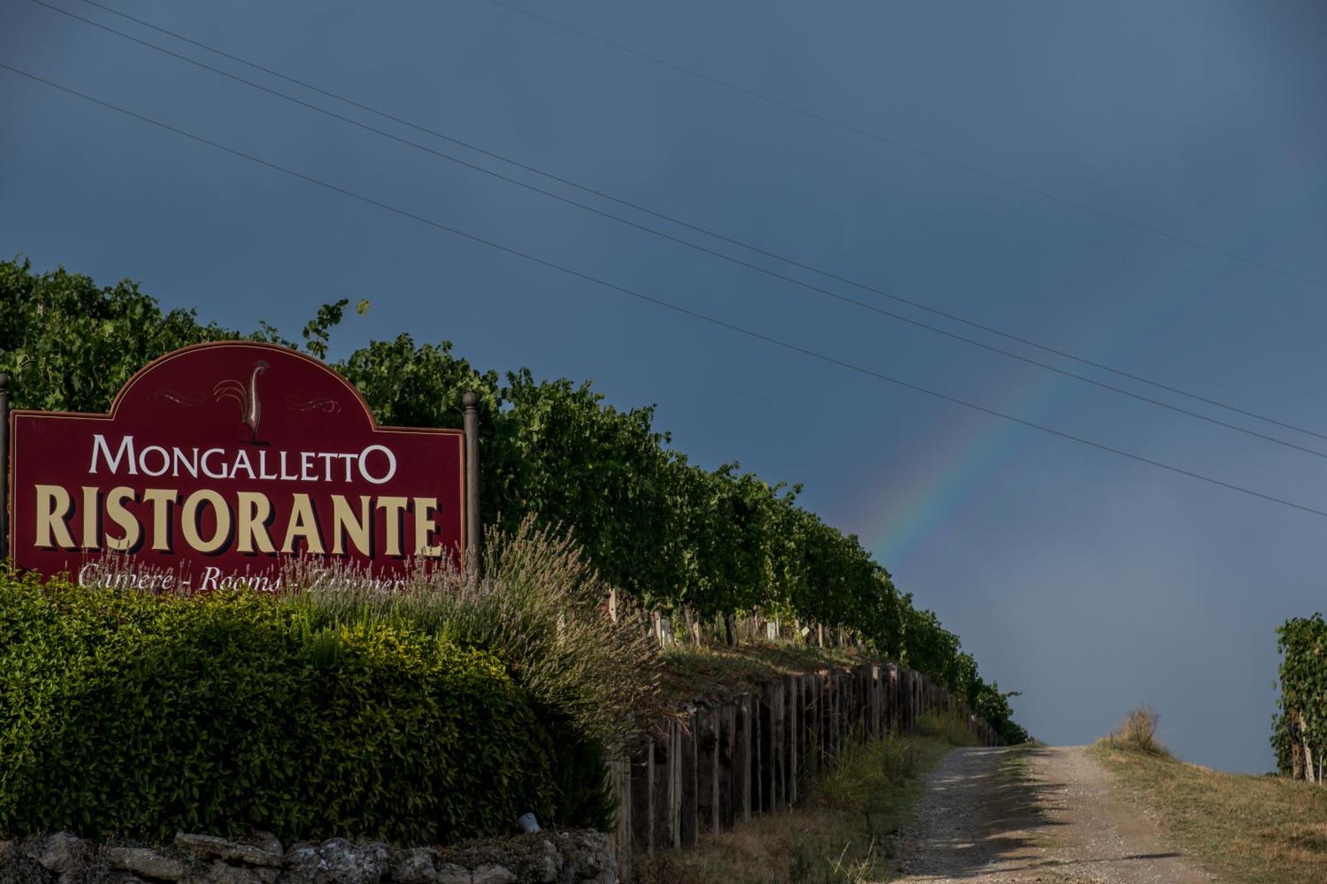 Mongalletto - Photo 35