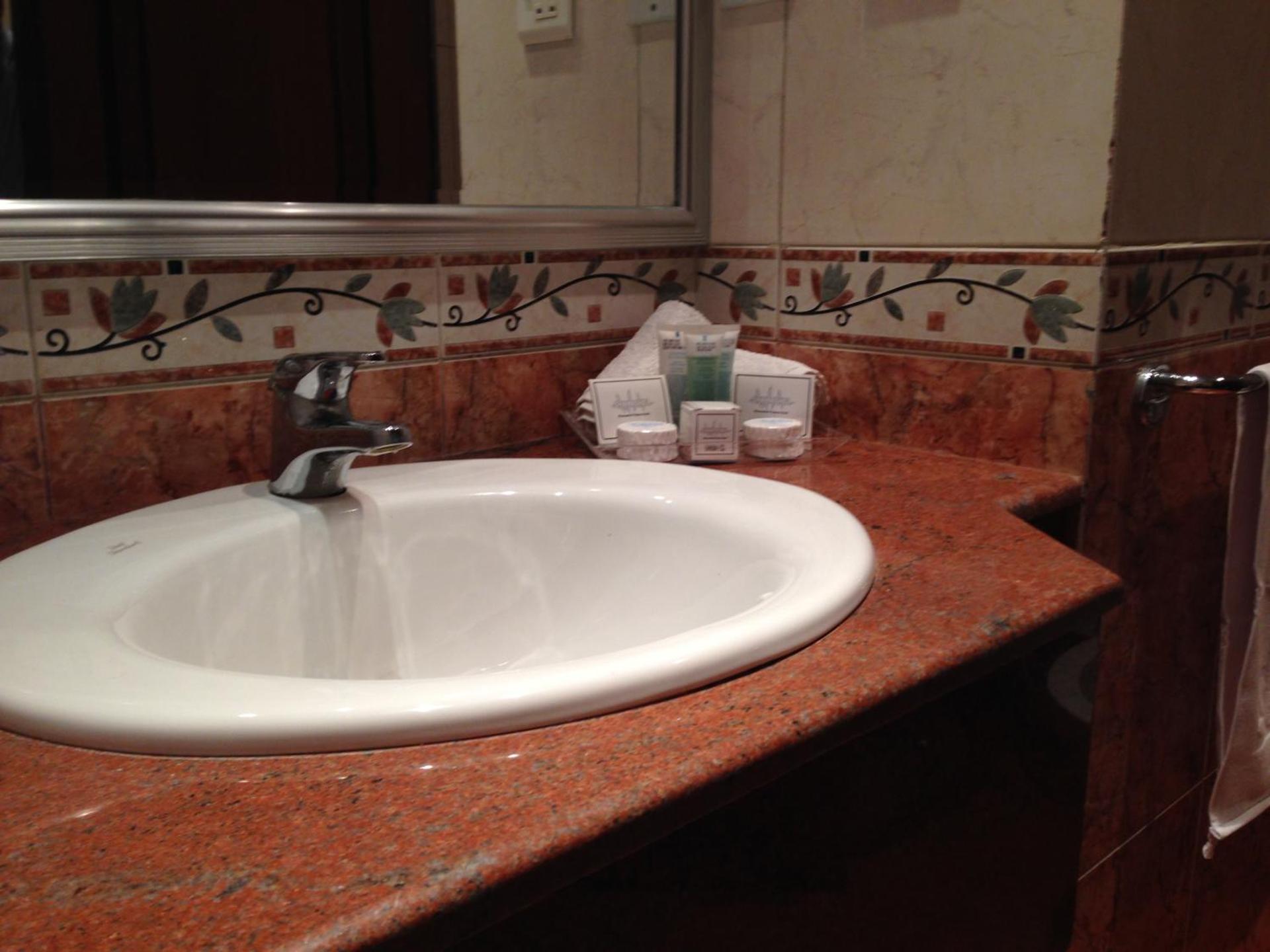 Shanasheel Palace Hotel - Photo 25