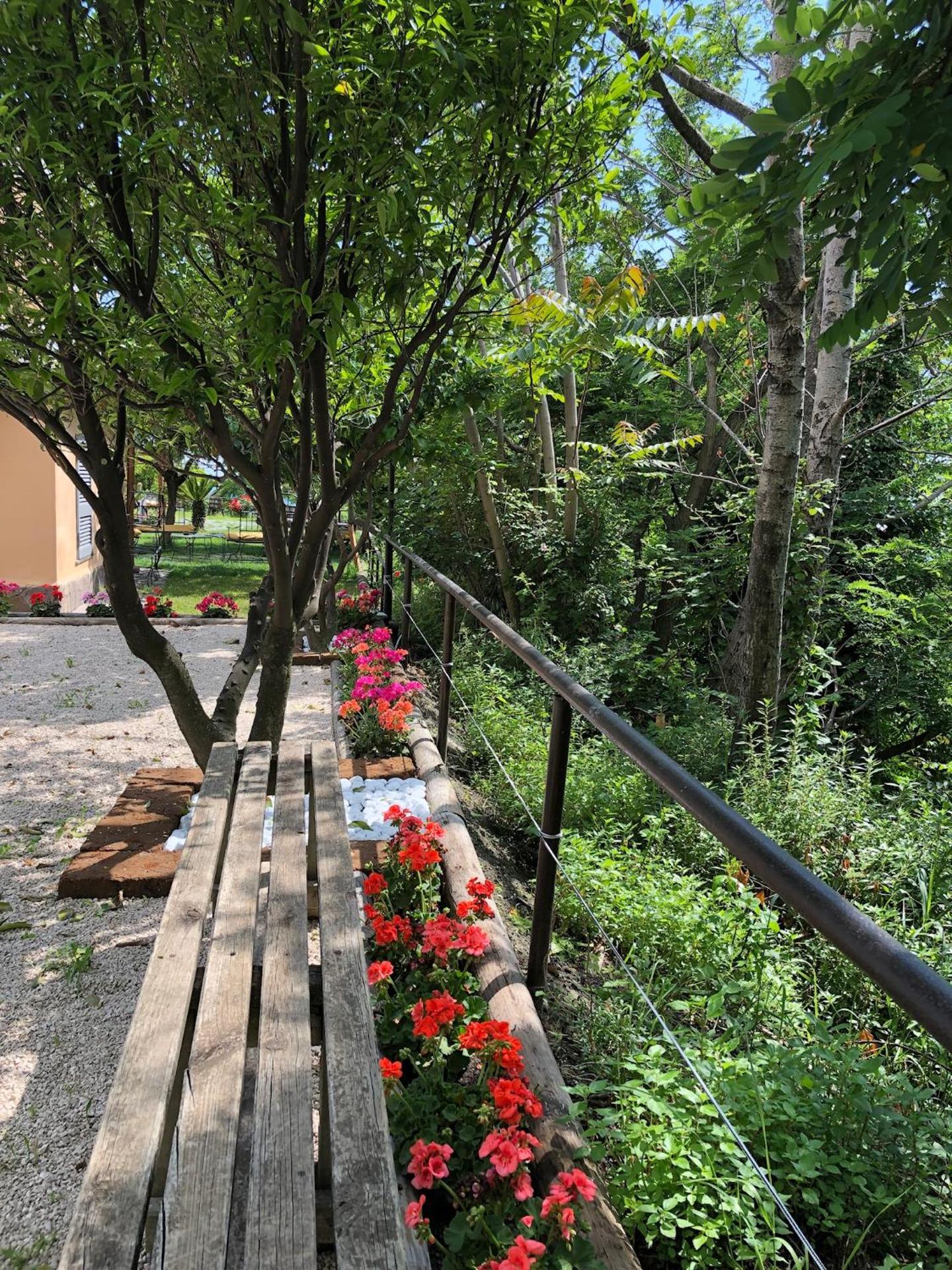 Domus Agricolae Corallina - Photo 36