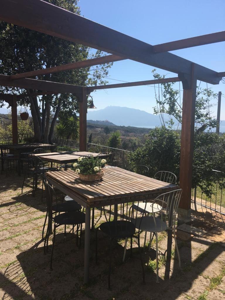 Domus Agricolae Corallina - Photo 9