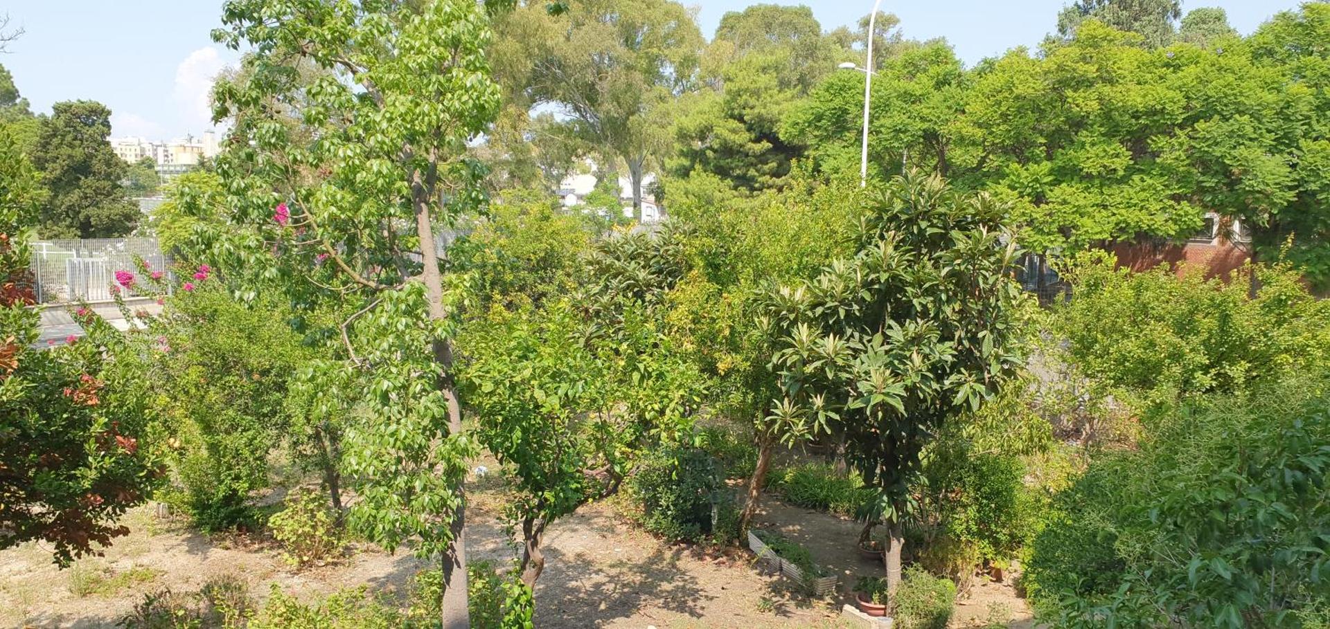 Guesthouse Luisella - Photo 17