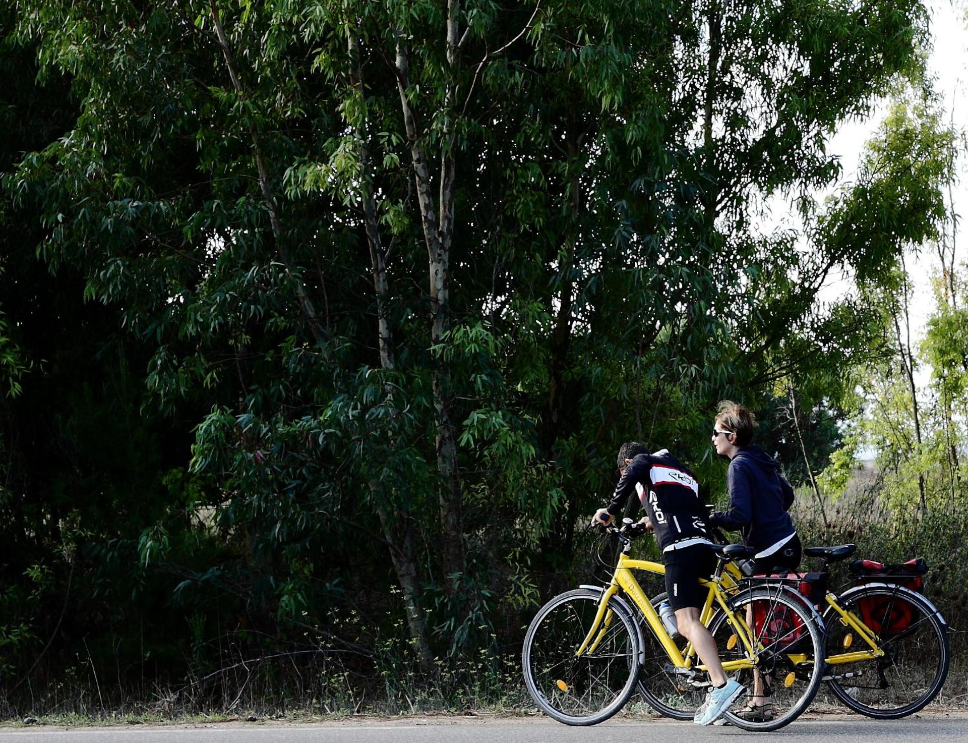 Sa Pedrera Country Hotel - Photo 14