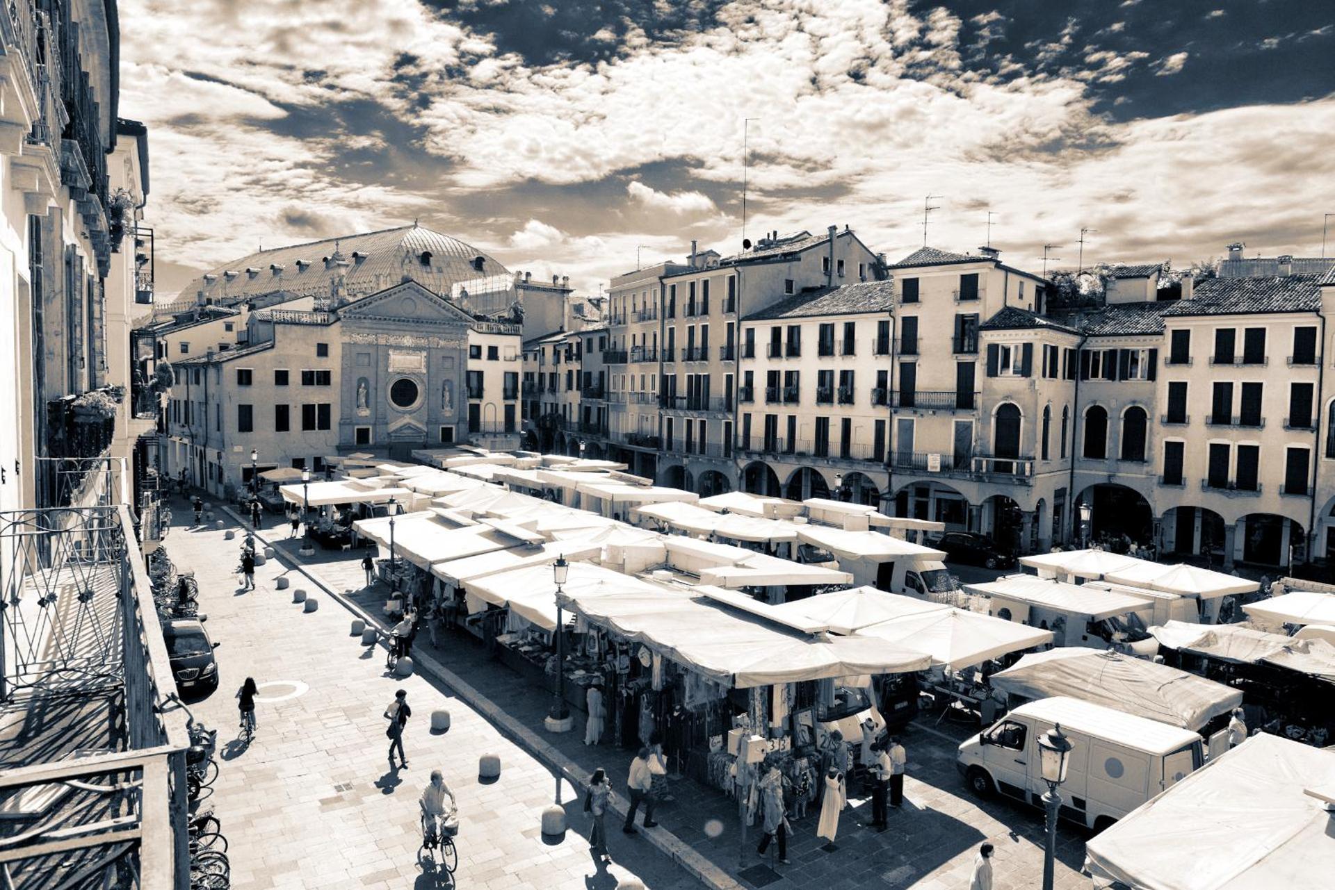 Diamantino Town House - Photo 29