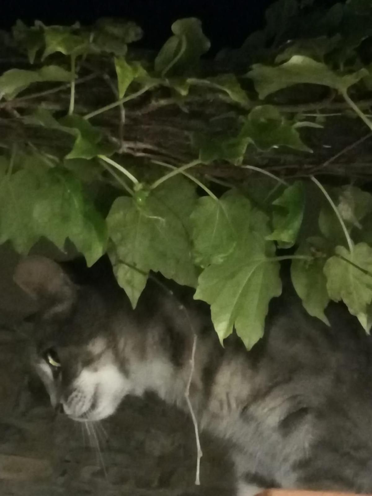 Casale Maria Mafalda - Photo 36