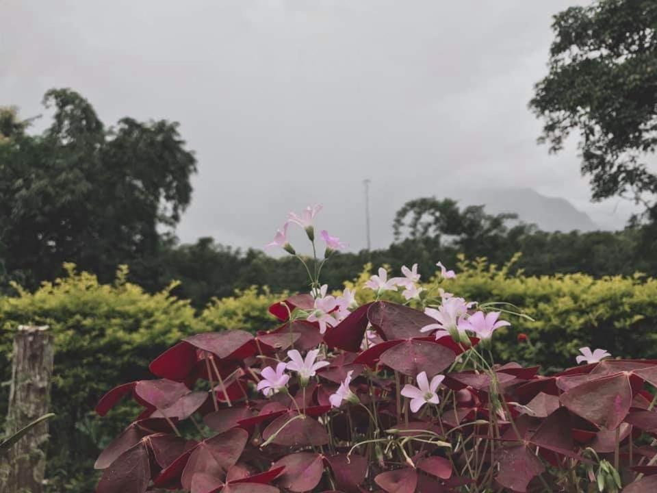 Mon Kiang-Dao Resort - Photo 19