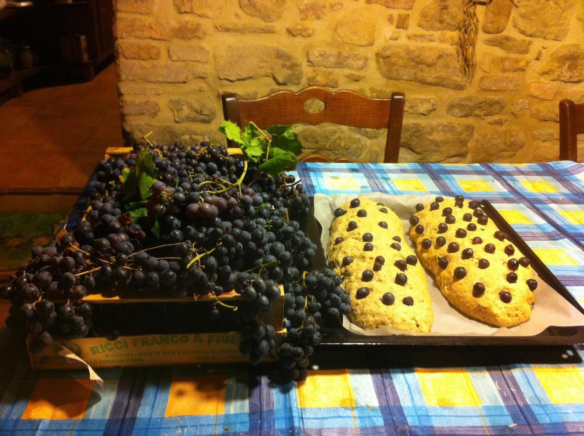 Il Belvederino - Photo 150