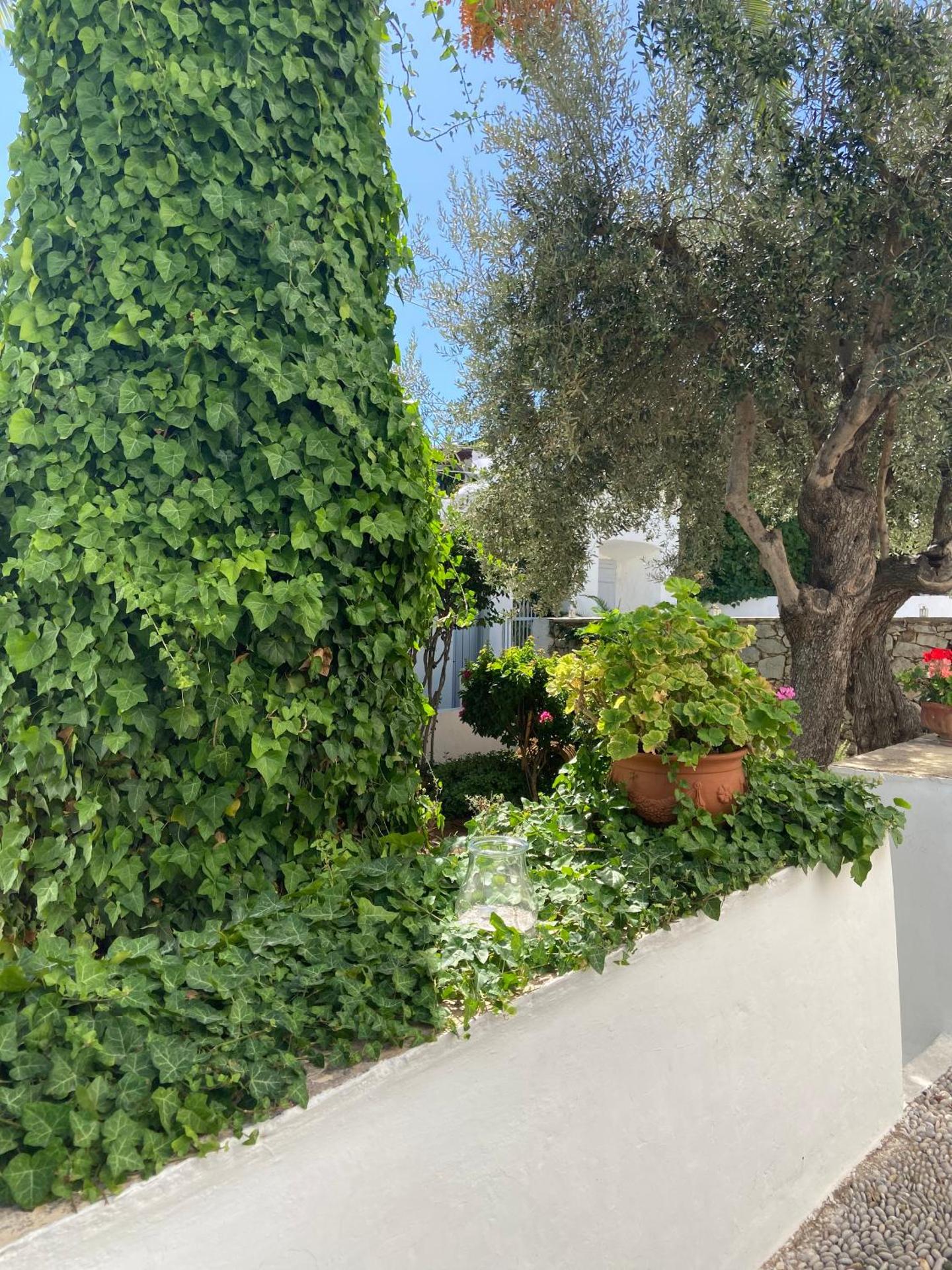 Economou Mansion - Photo 48