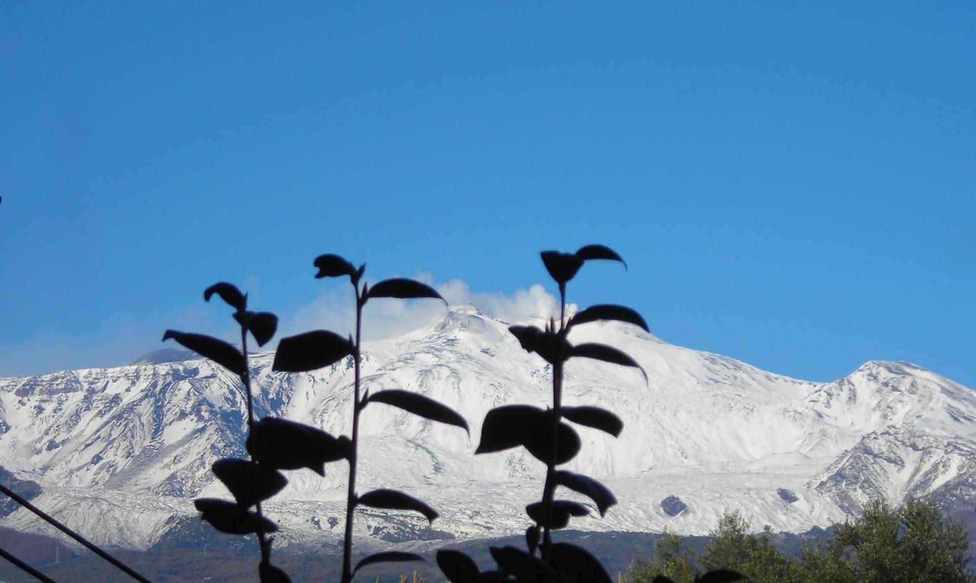 B&B CasAnsaldo - Photo 7