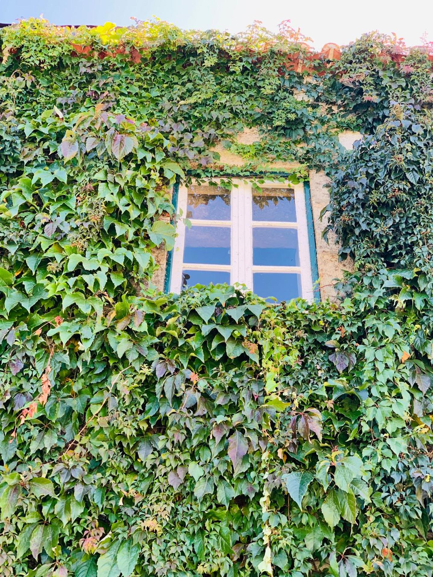 Casa de Sao Miguel Douro - Photo 201