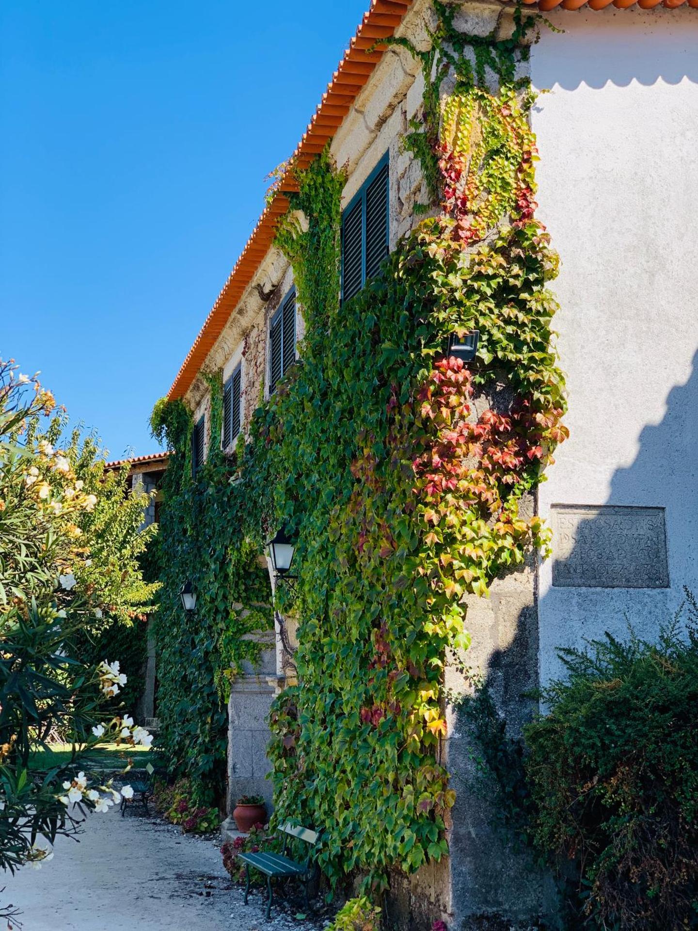 Casa de Sao Miguel Douro - Photo 203
