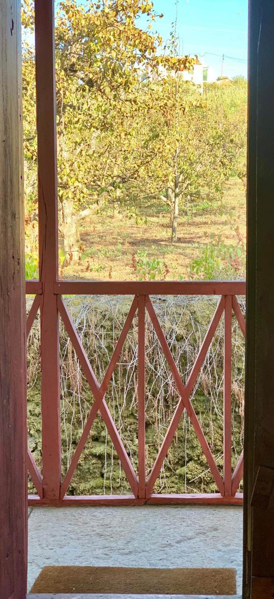 Casa de Sao Miguel Douro - Photo 15