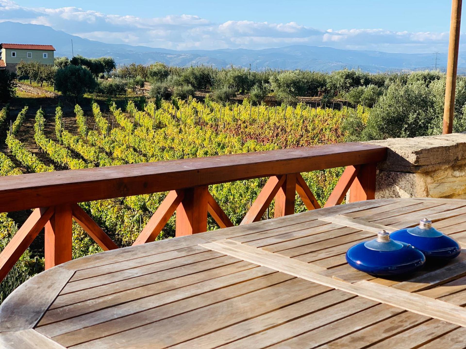 Casa de Sao Miguel Douro - Photo 8