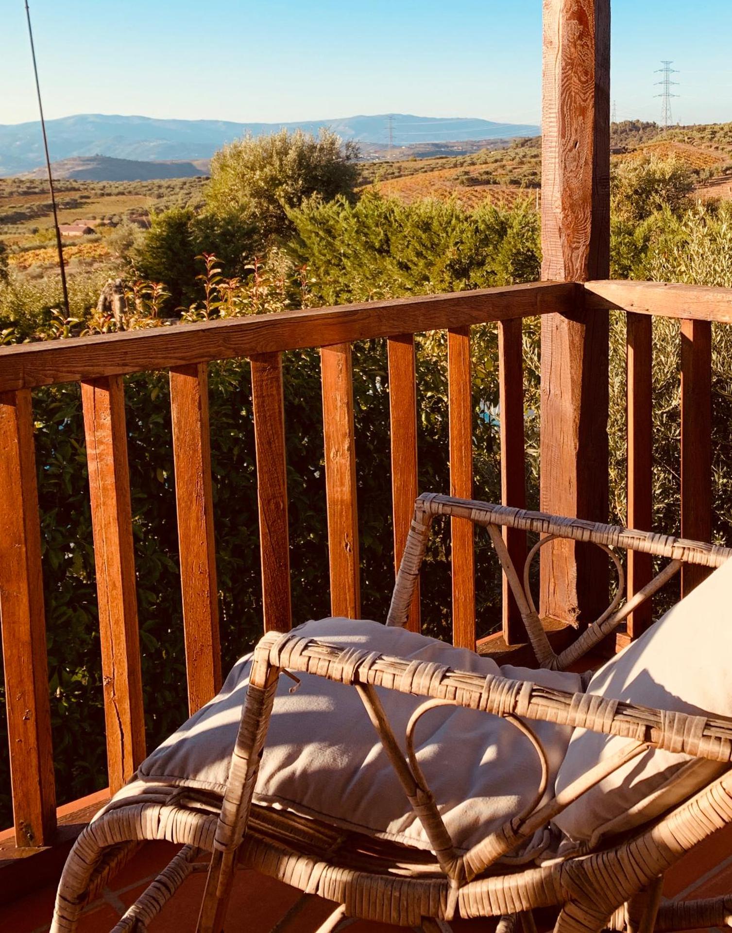 Casa de Sao Miguel Douro - Photo 96