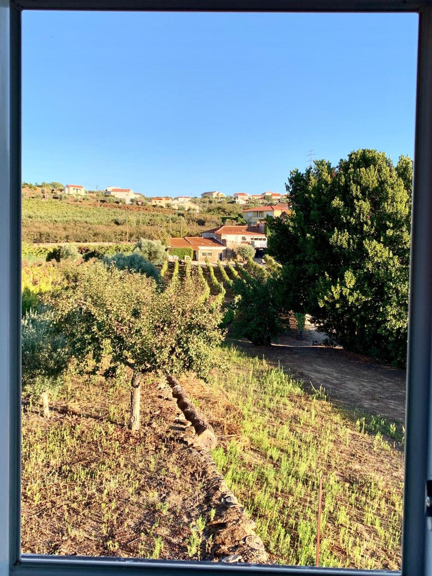 Casa de Sao Miguel Douro - Photo 94