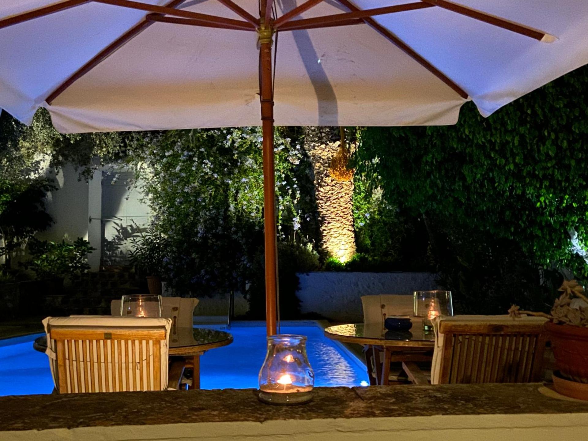 Economou Mansion - Photo 43