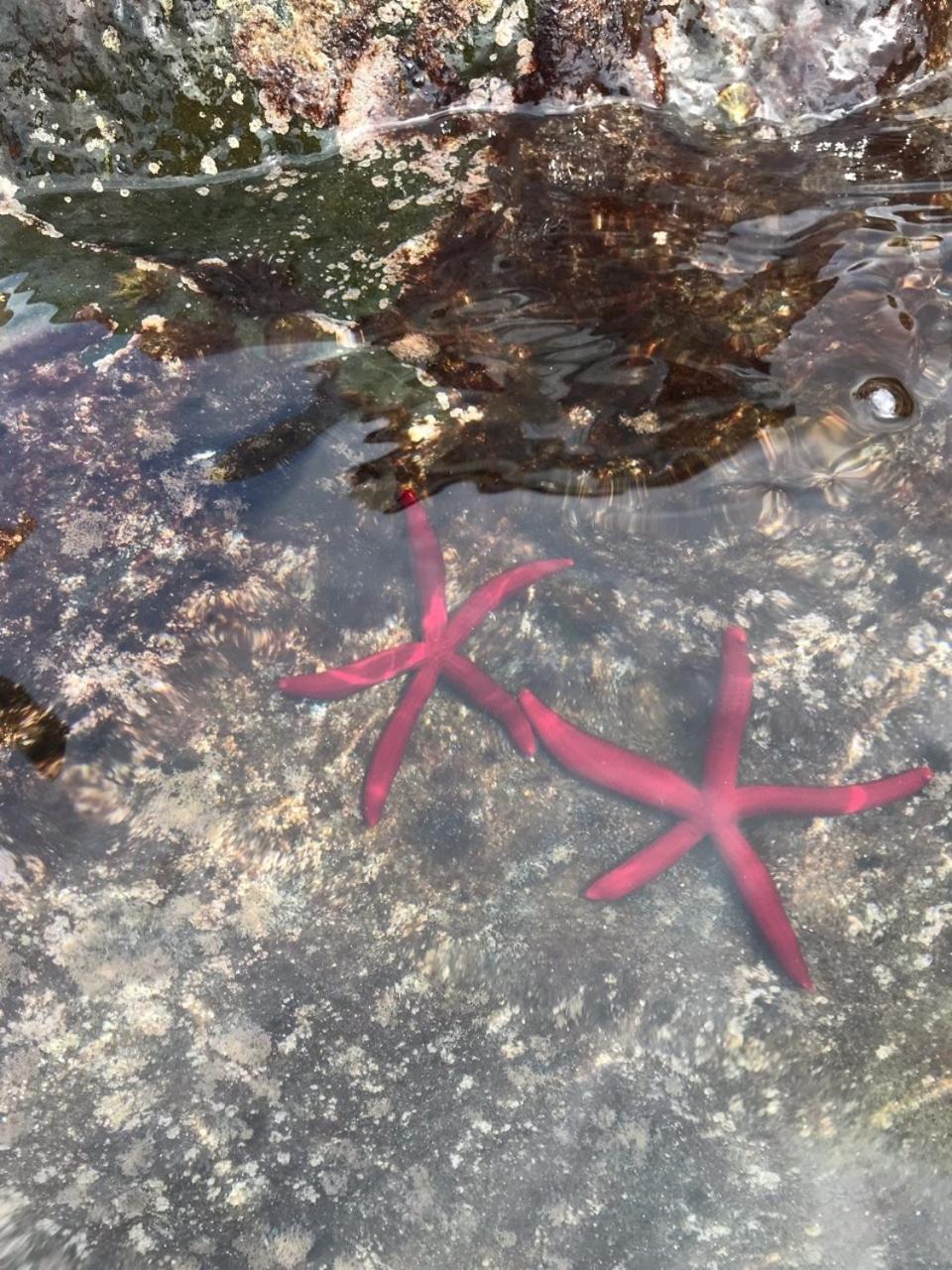 La Caletta - Photo 60