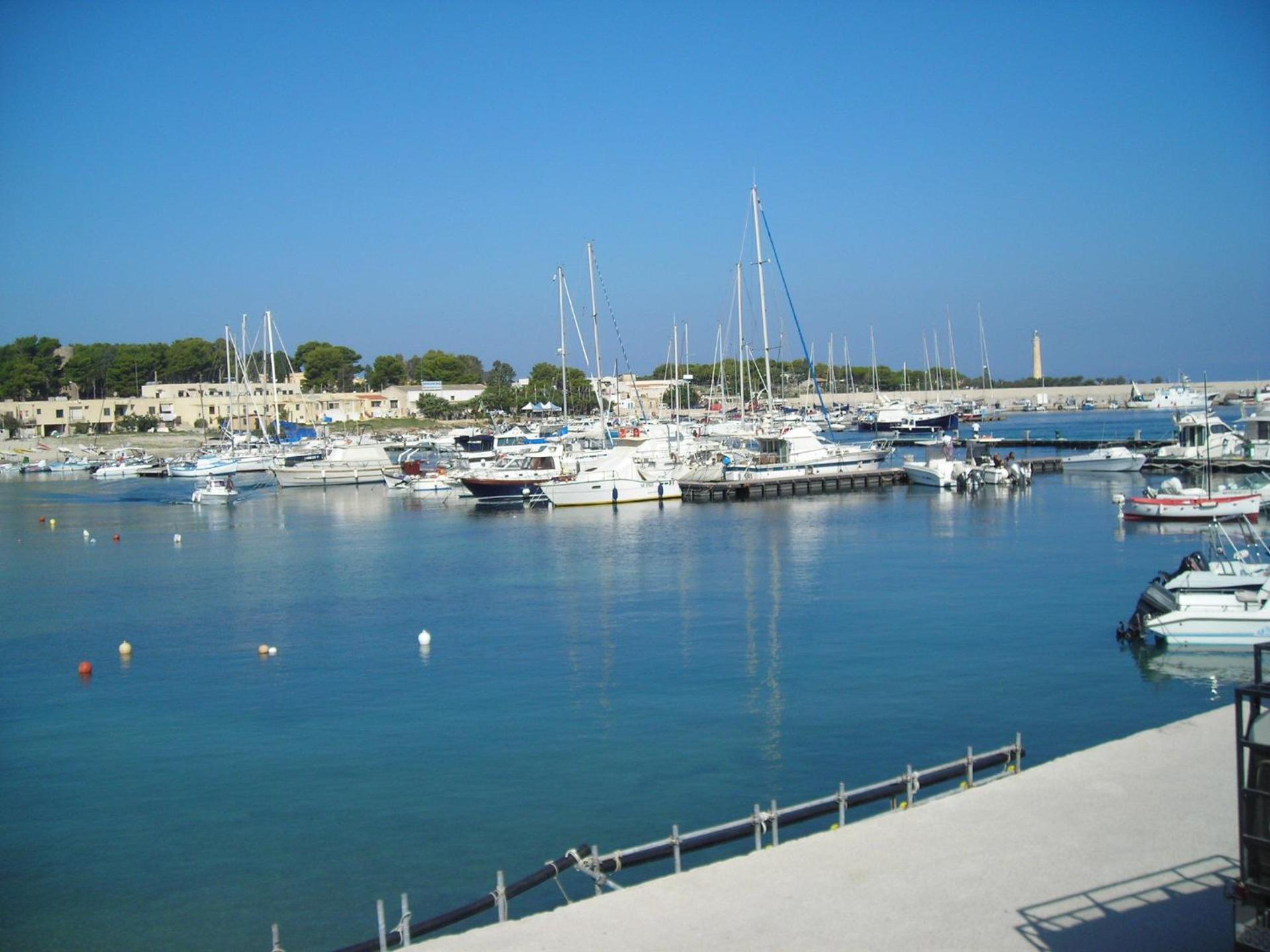Sun Garden - Photo 27