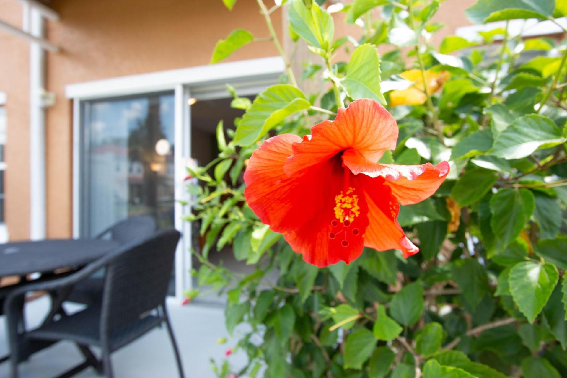 Berkley Lake Townhomes - Photo 20