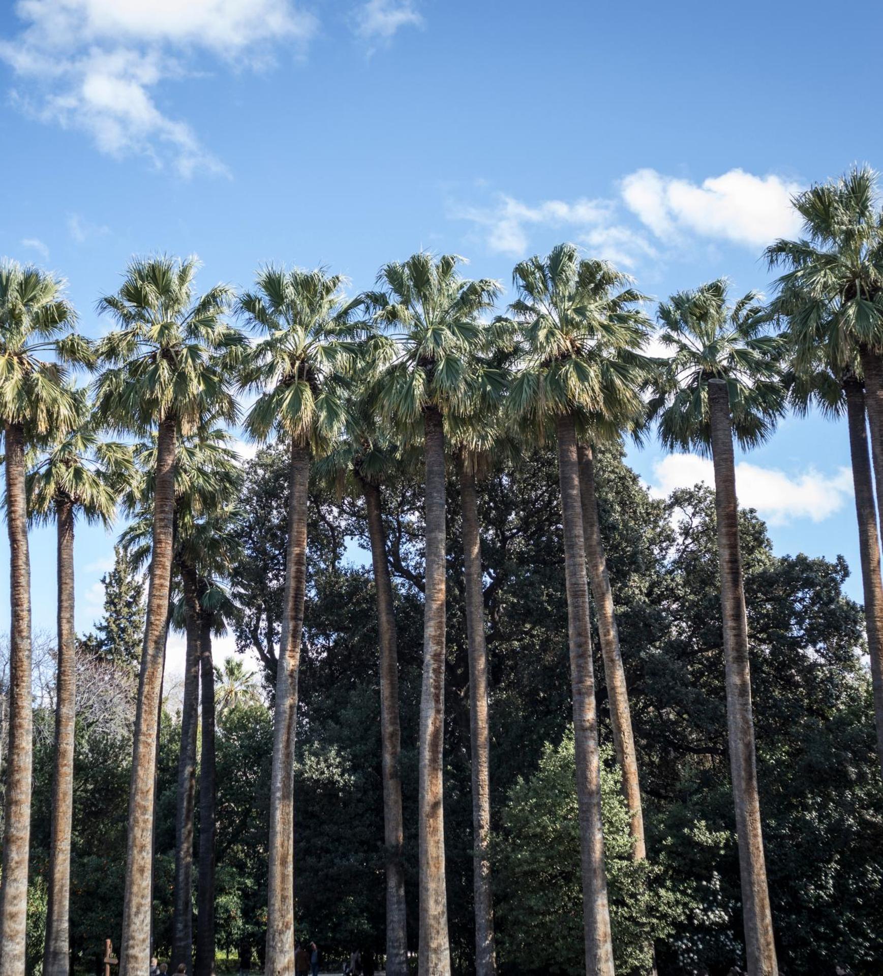 Carolina Hotel since 1934 - Photo 22