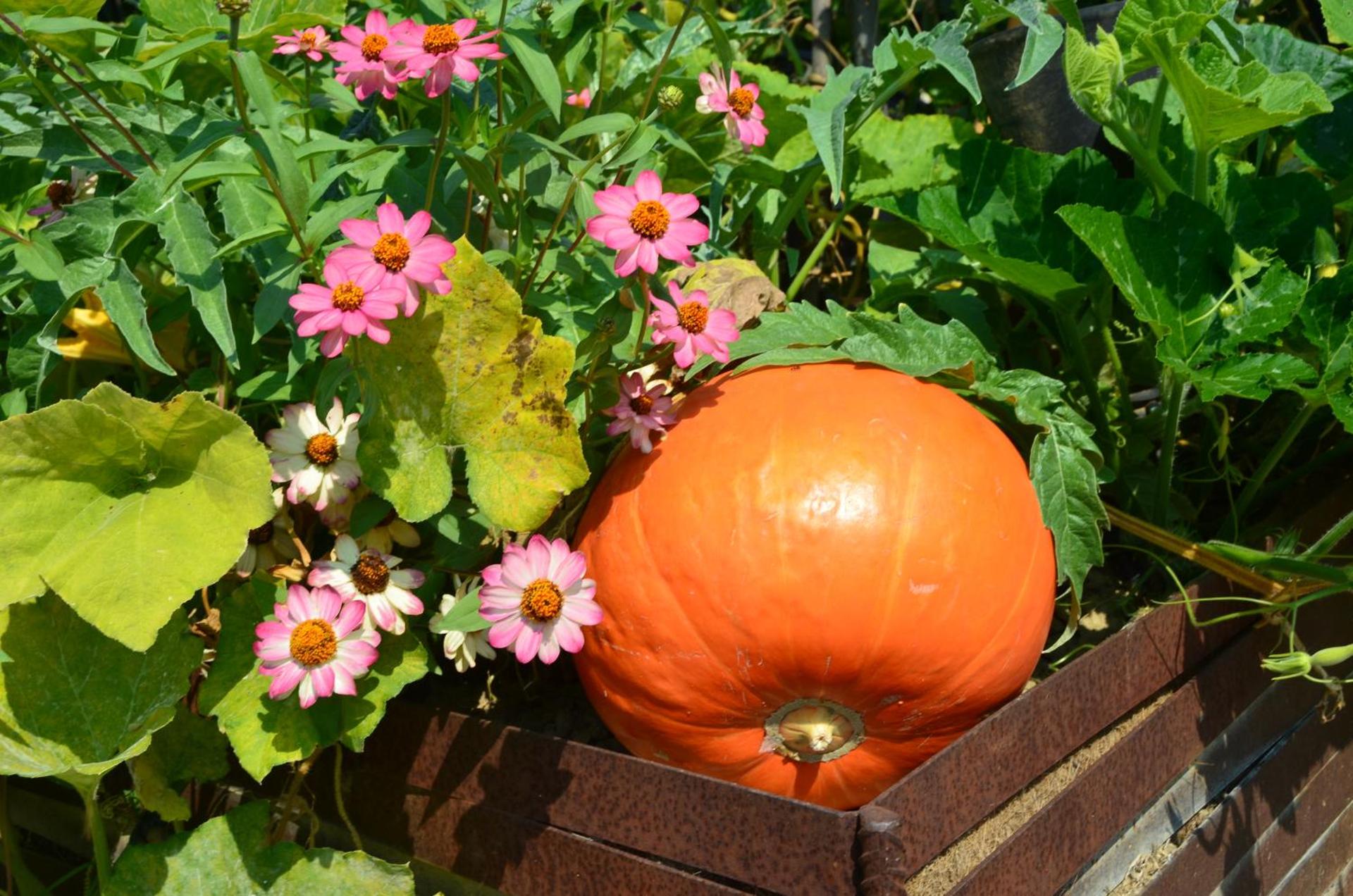 Albergo l'Ostelliere - Villa Sparina Resort - Photo 9