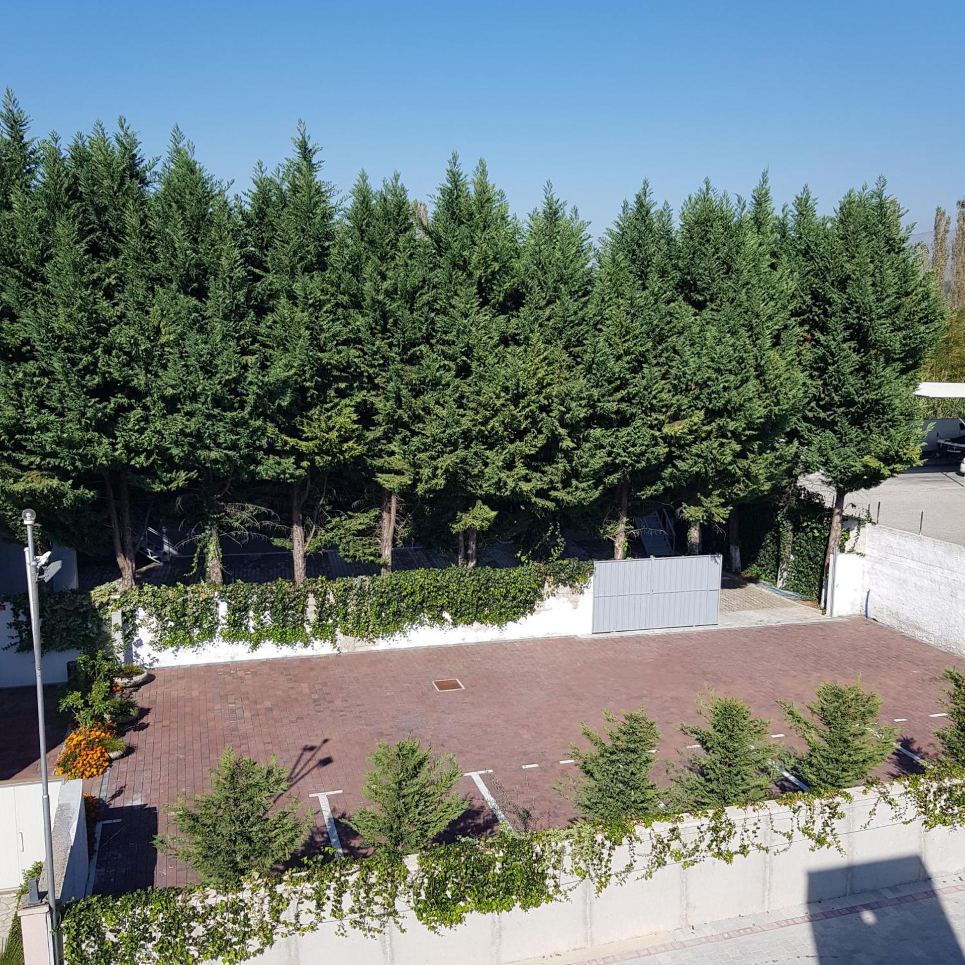 Hotel Erandi - Photo 28