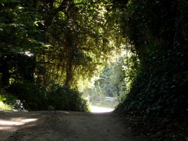 B&B Meladormo - Photo 14