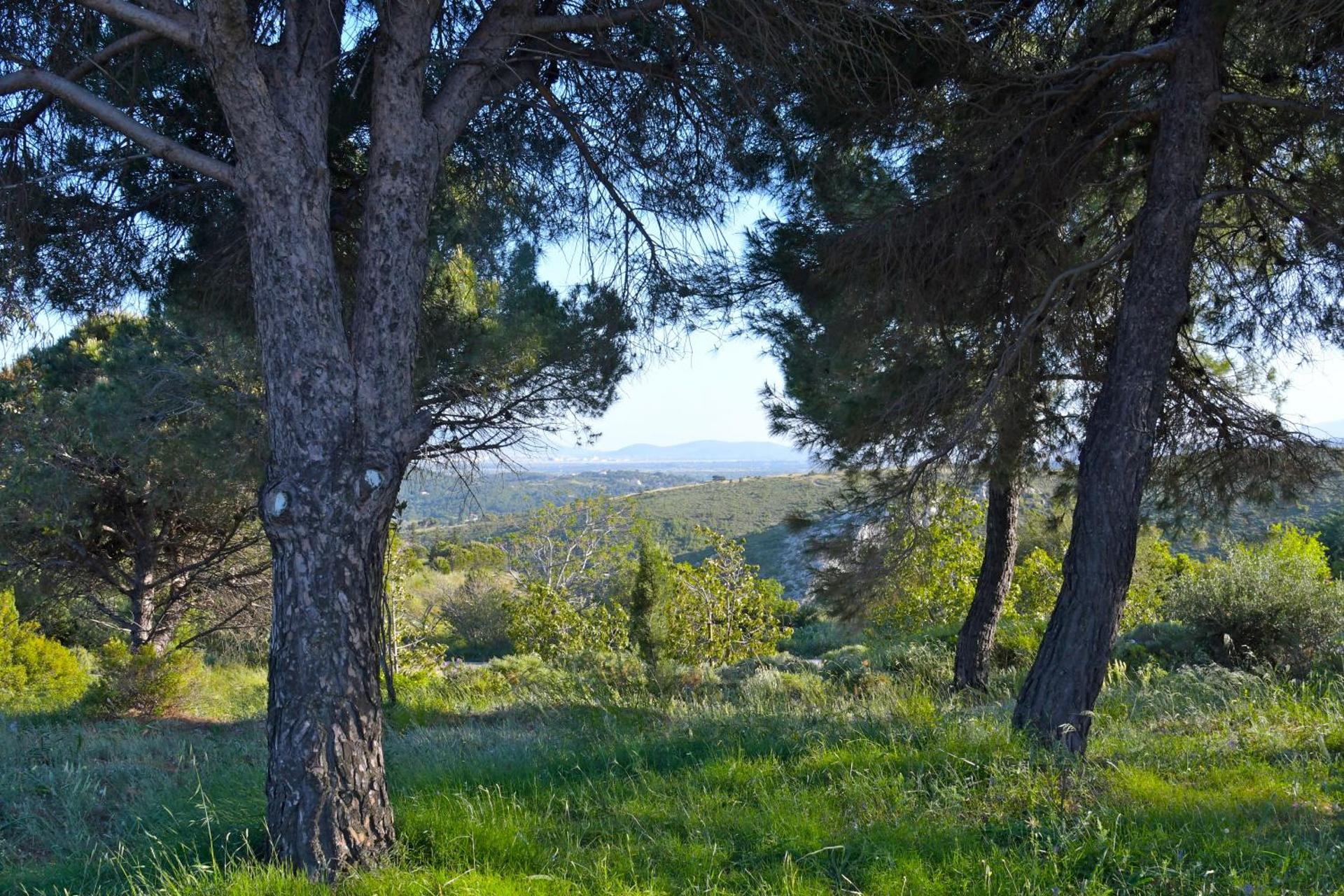 Priamos Kalitehnoupoli - Photo 23
