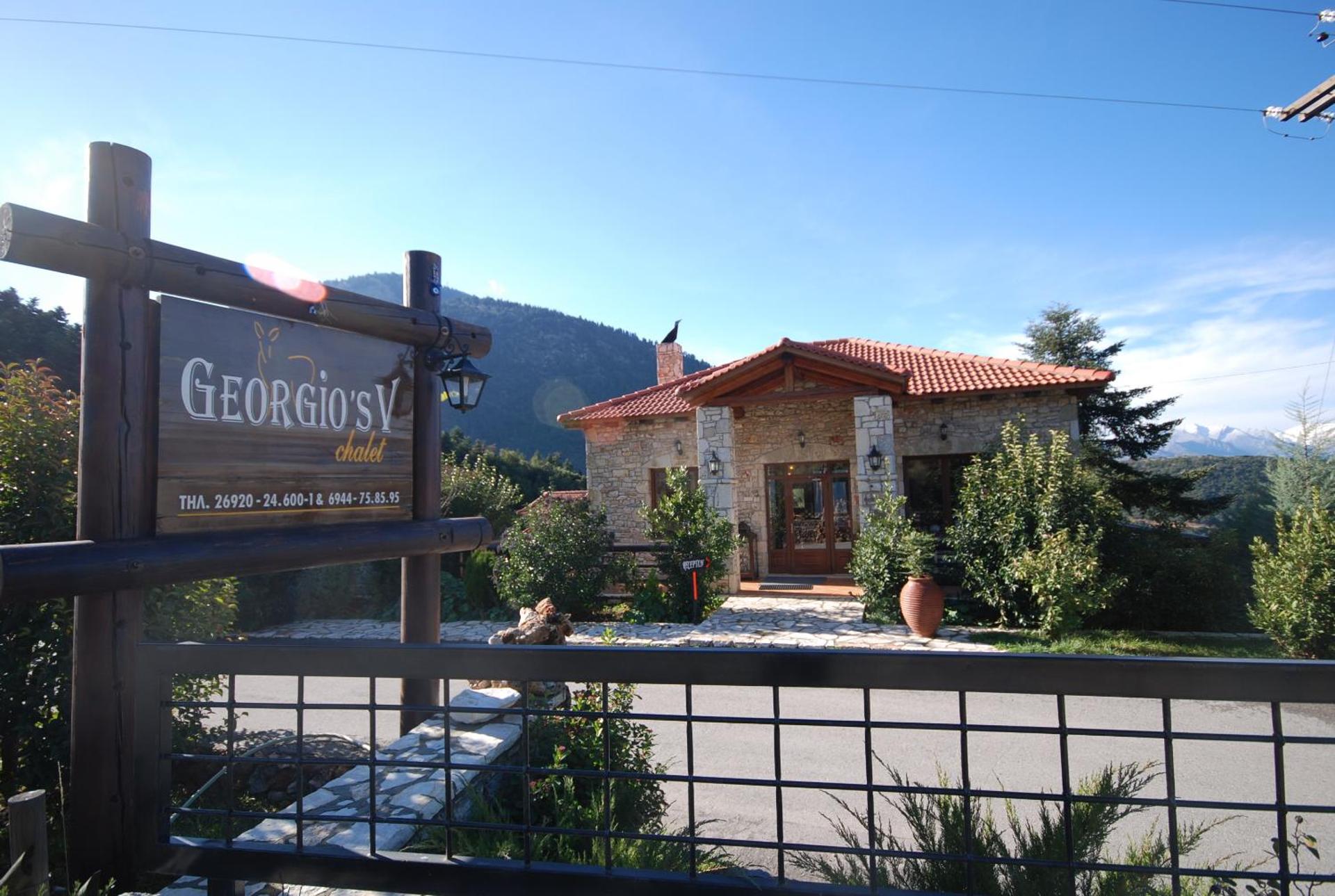 Georgio's V Chalet Kalavrita - Photo 111