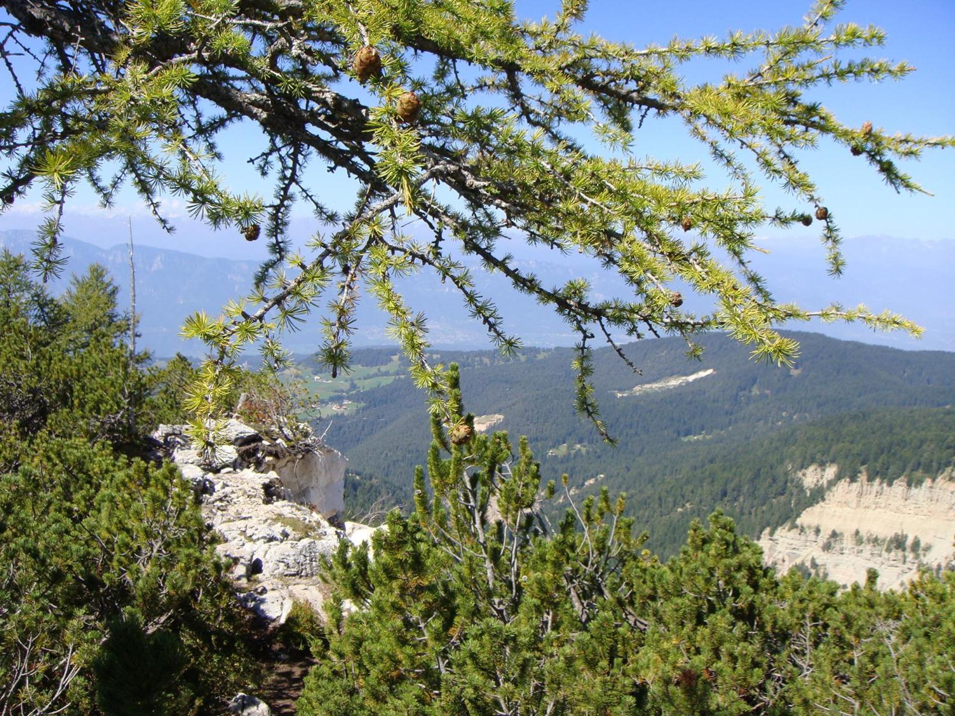 Berghotel Jochgrimm - Your Dolomites Home - Photo 97