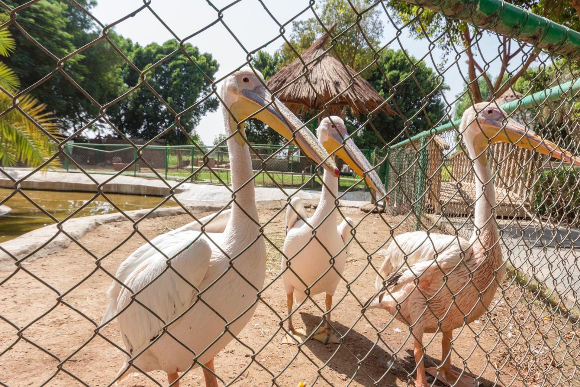 Jolie Ville Hotel & Spa Kings Island Luxor - Photo 111