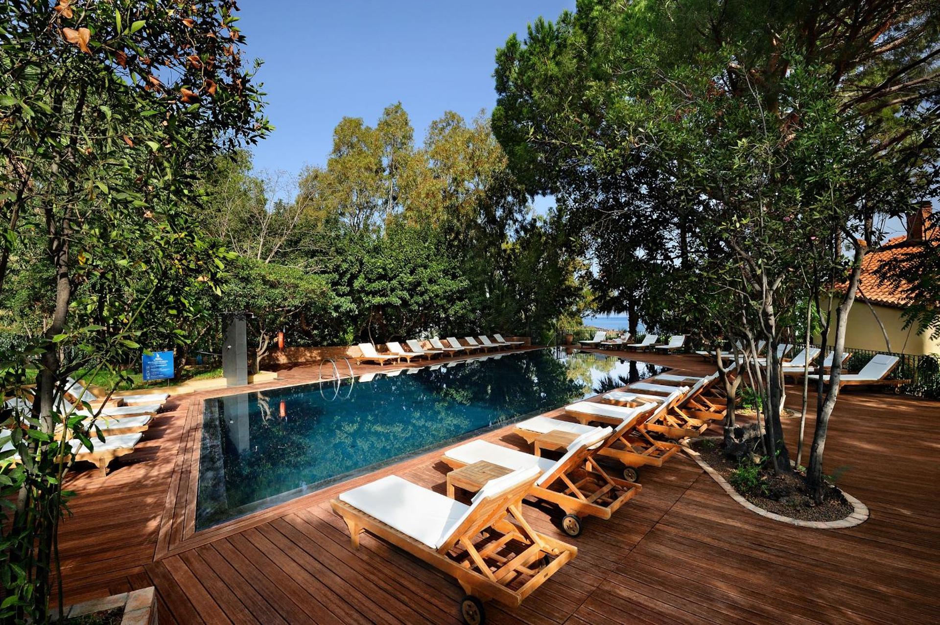 Alberi del Paradiso - Photo 140