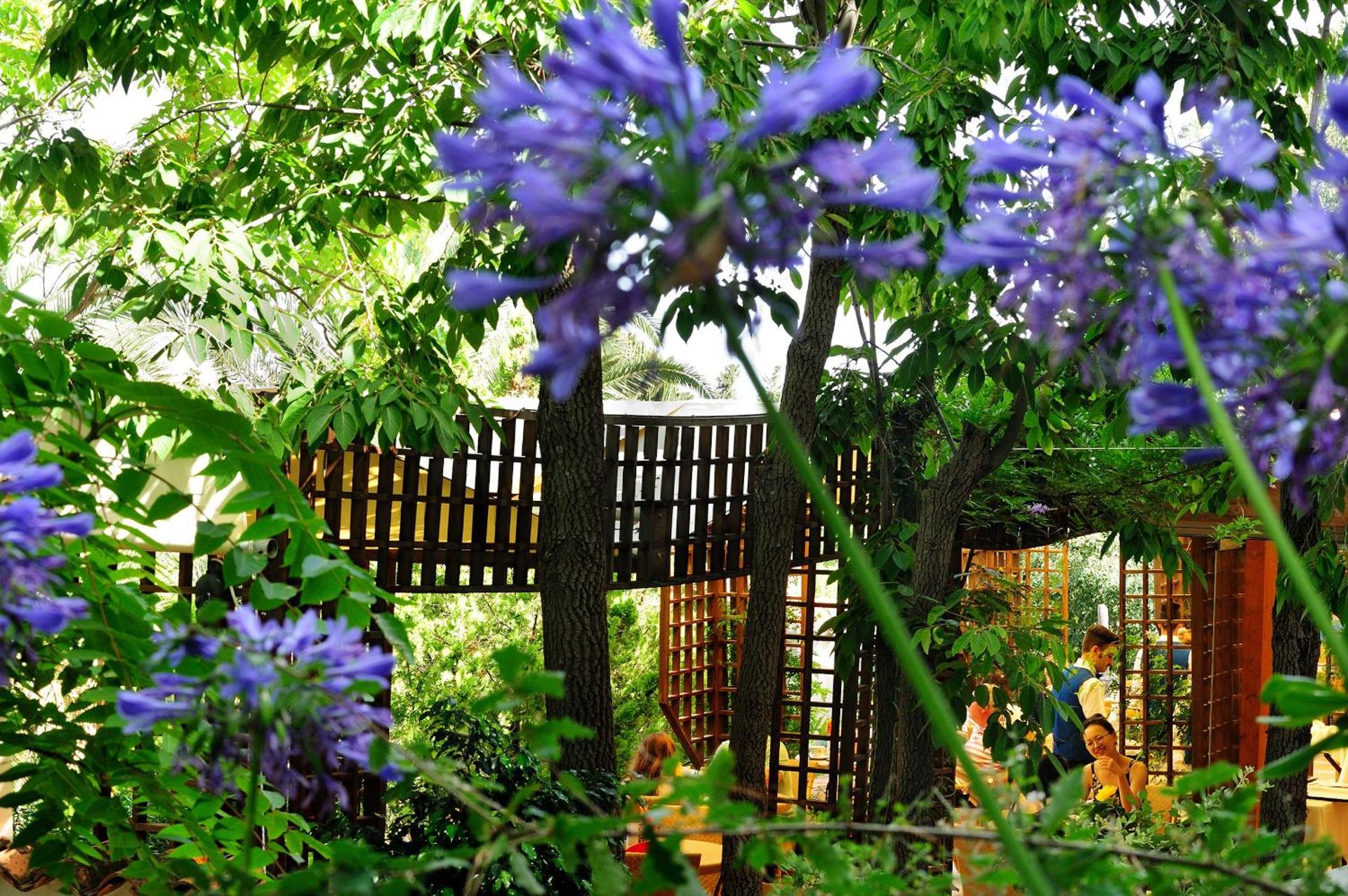 Alberi del Paradiso - Photo 161