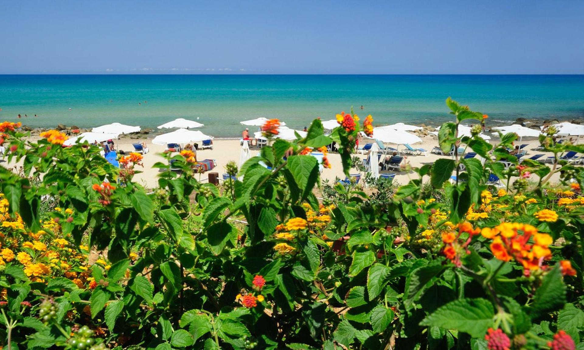 Alberi del Paradiso - Photo 190