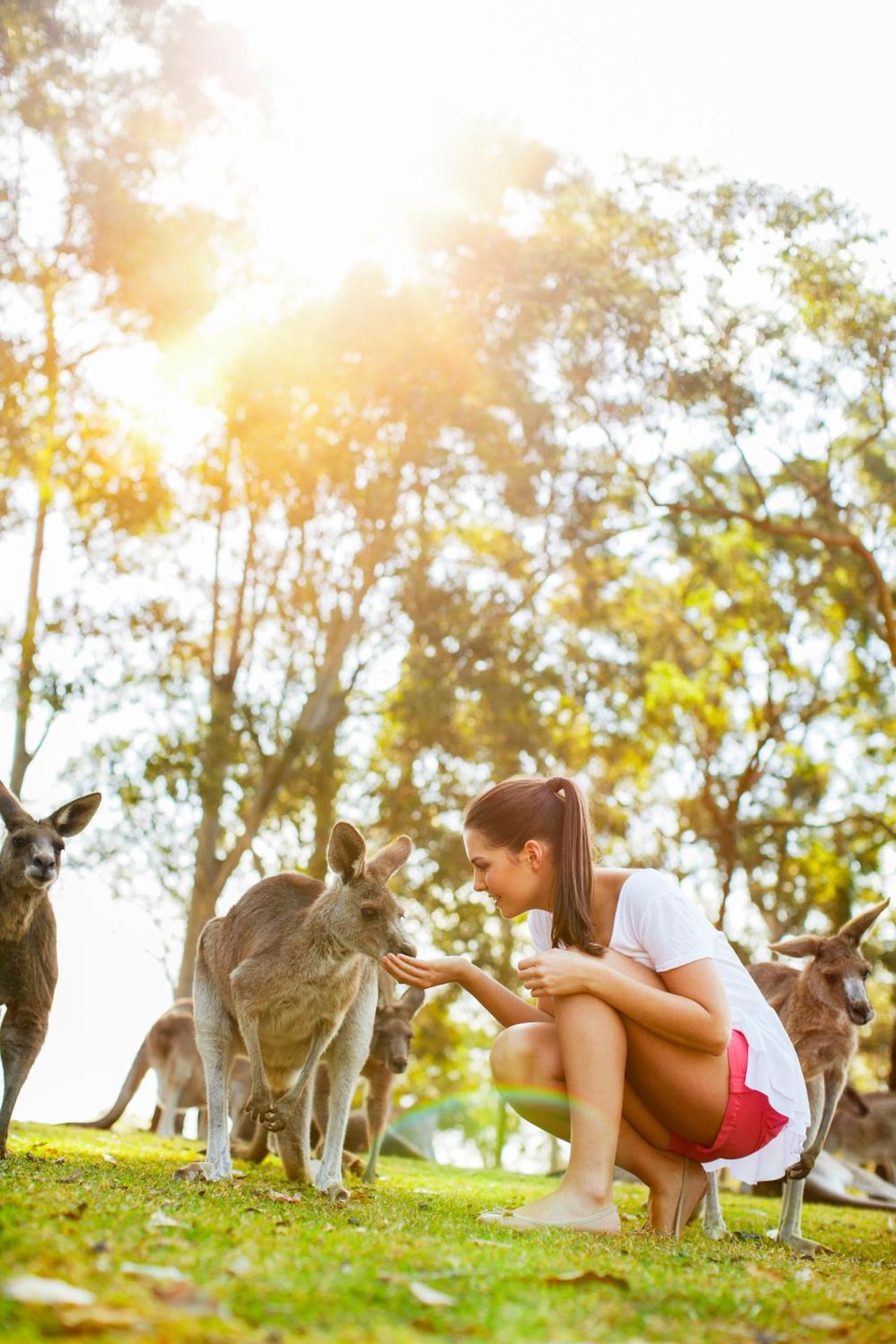 Toowong Central Motel Apartments - Photo 63
