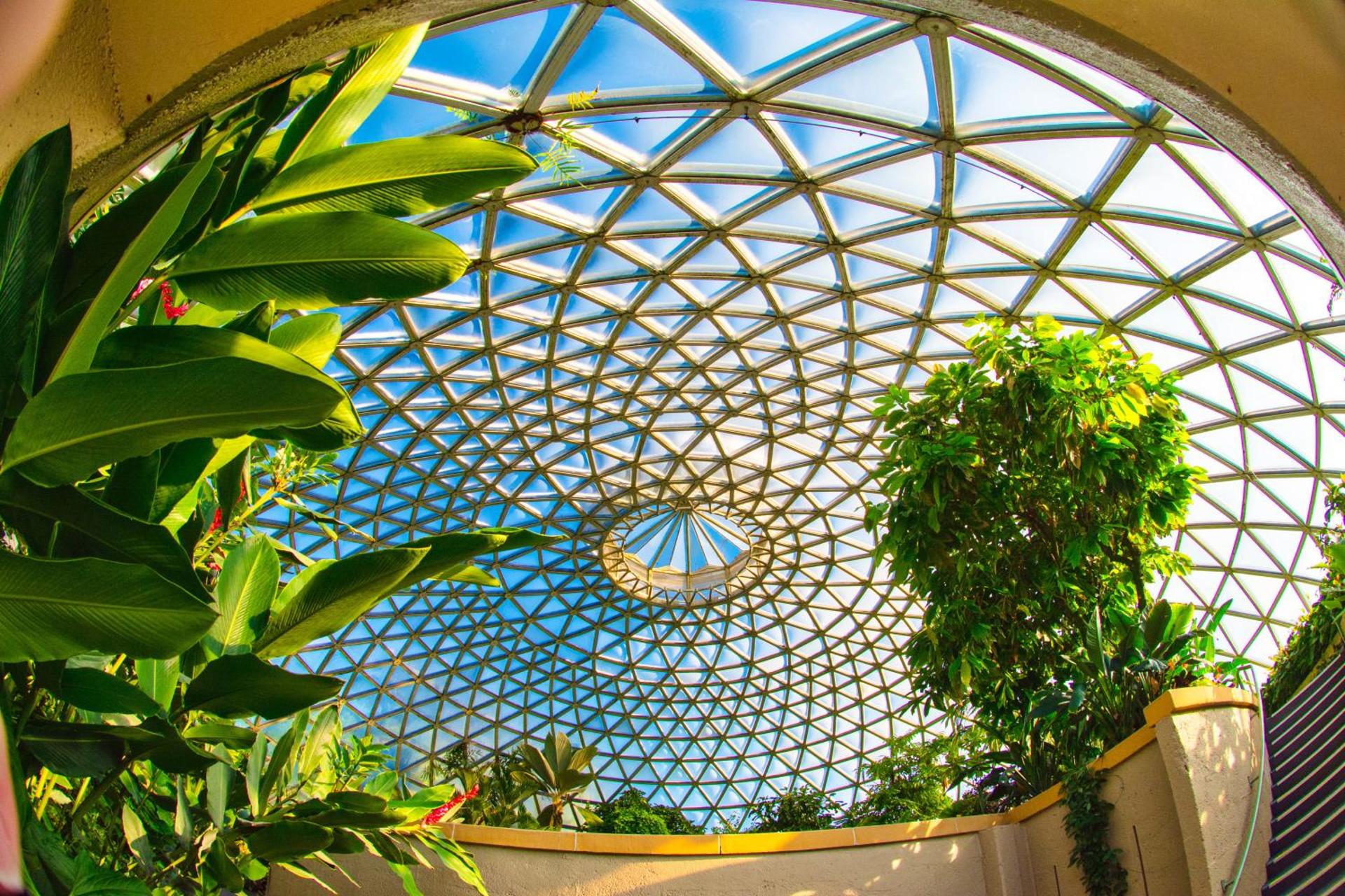 Toowong Central Motel Apartments - Photo 47