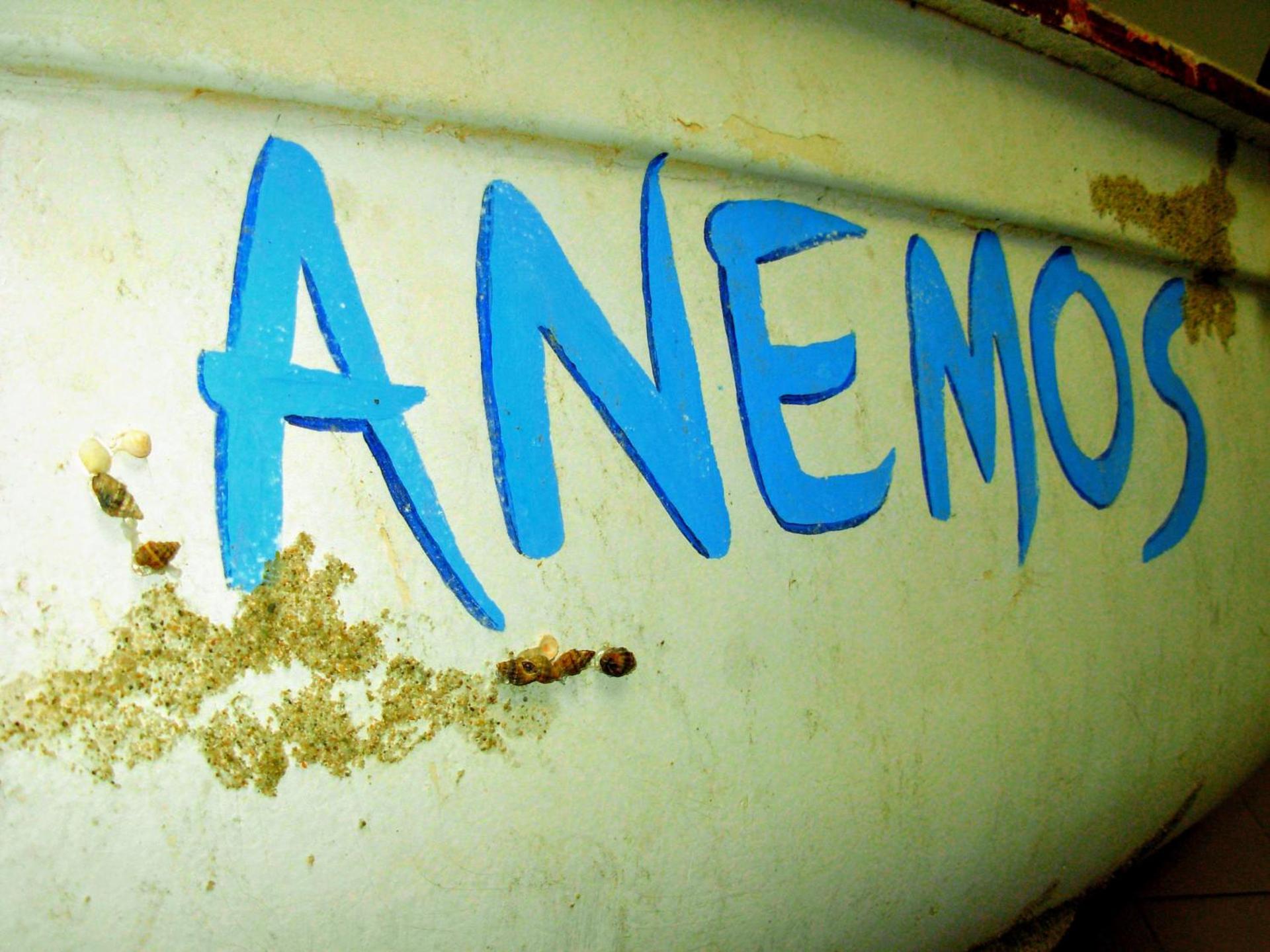 Anemos Hotel - Photo 20