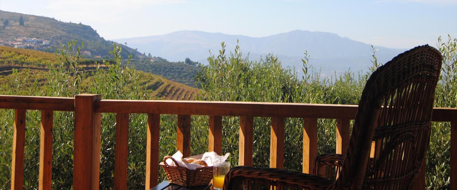 Casa de Sao Miguel Douro - Photo 97