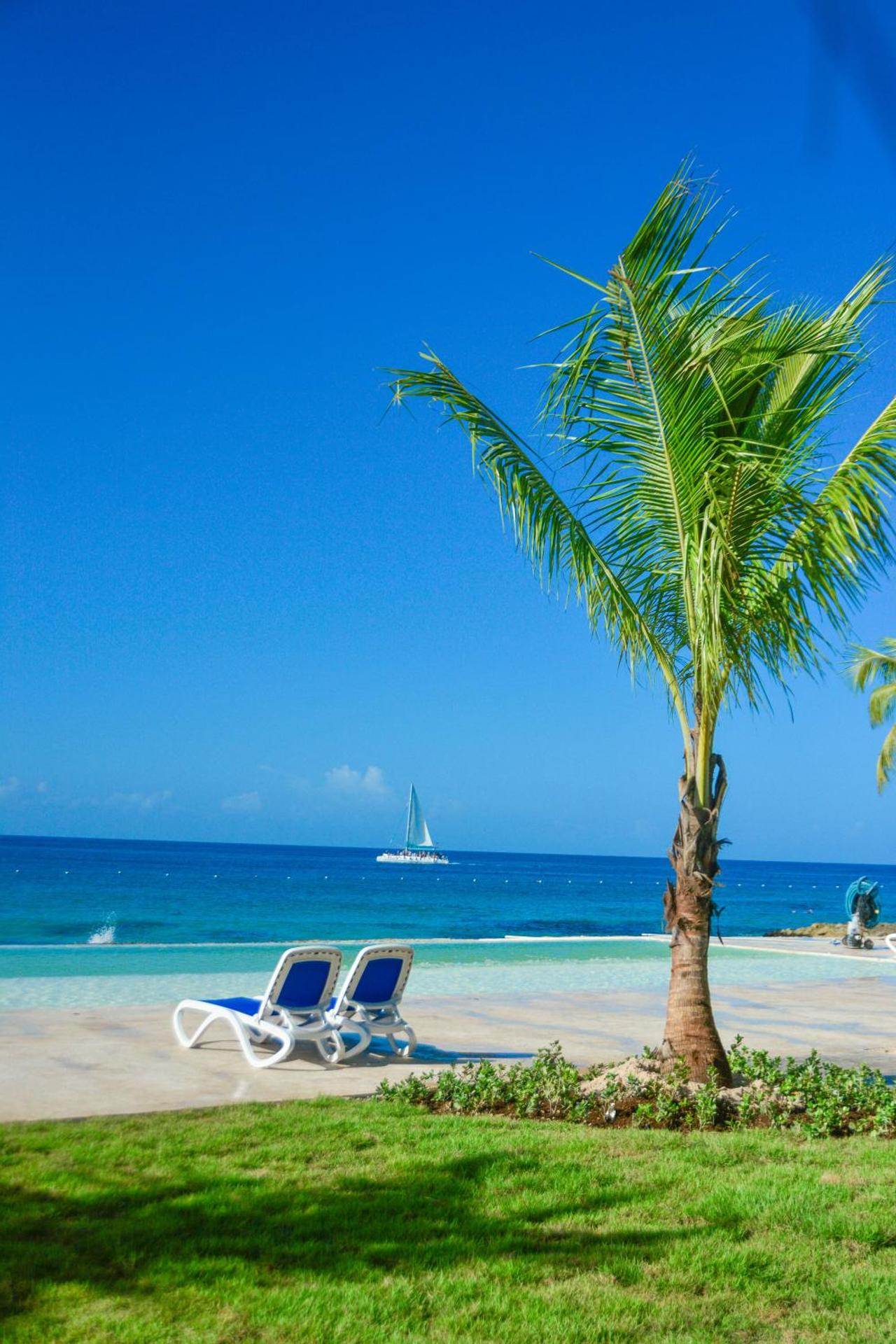 Viva Dominicus Beach by Wyndham, A Trademark All Inclusive - Photo 84