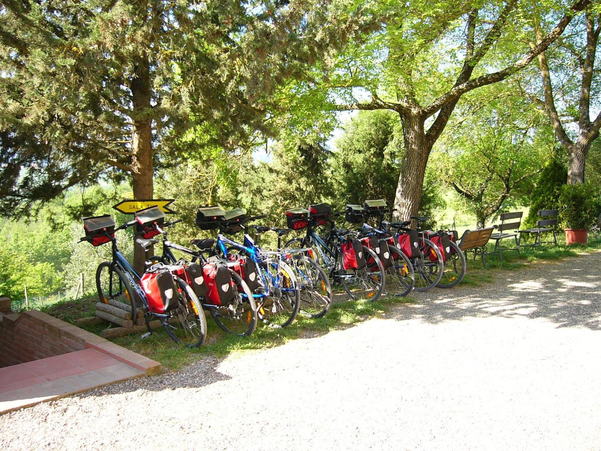 Fattoria Pieve a Salti - Photo 35
