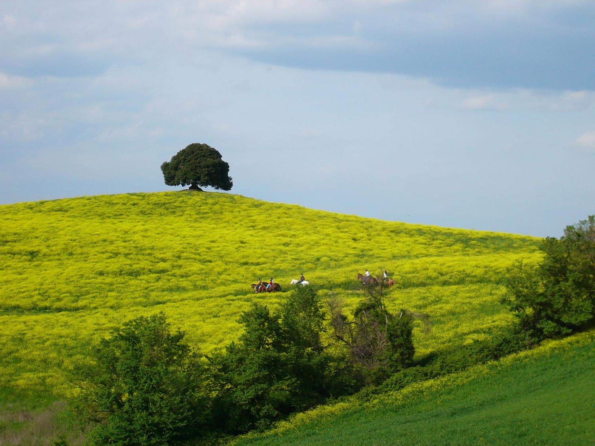 Fattoria Pieve a Salti - Photo 41