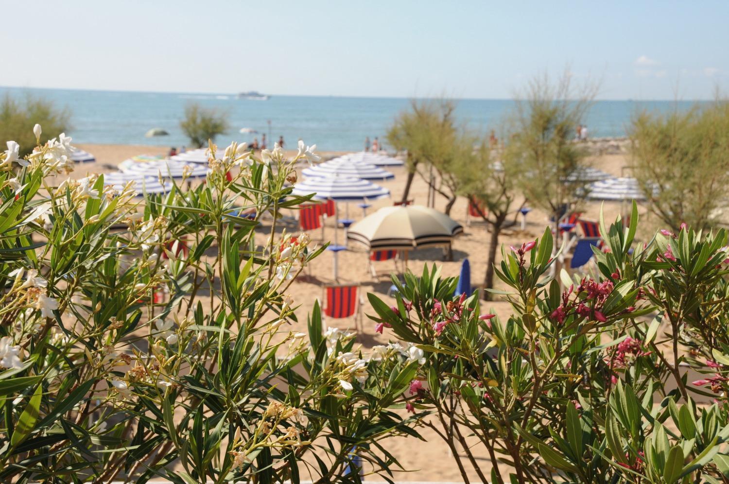 Hotel Fenix - Photo 2