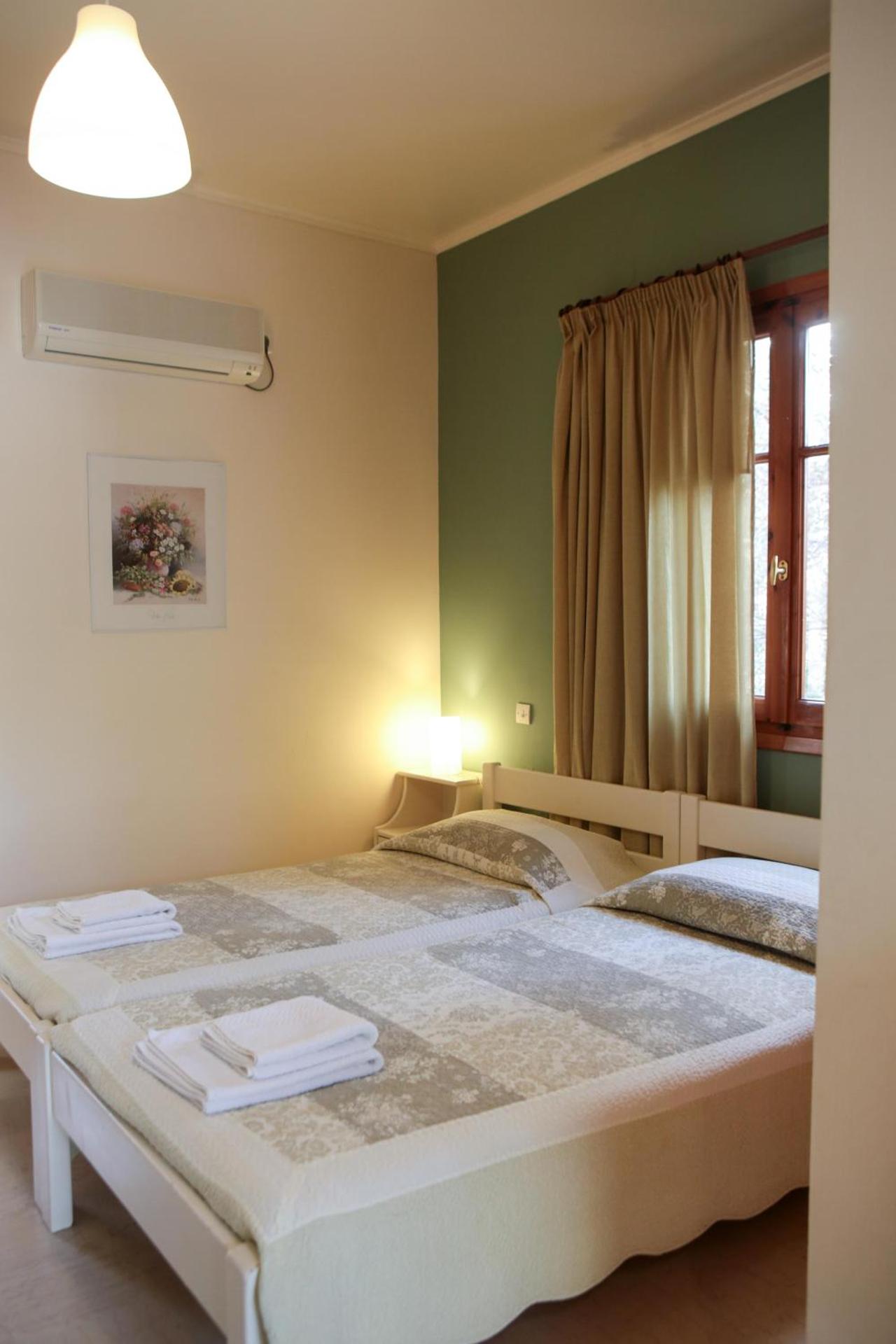 Dendrolivano - Photo 64