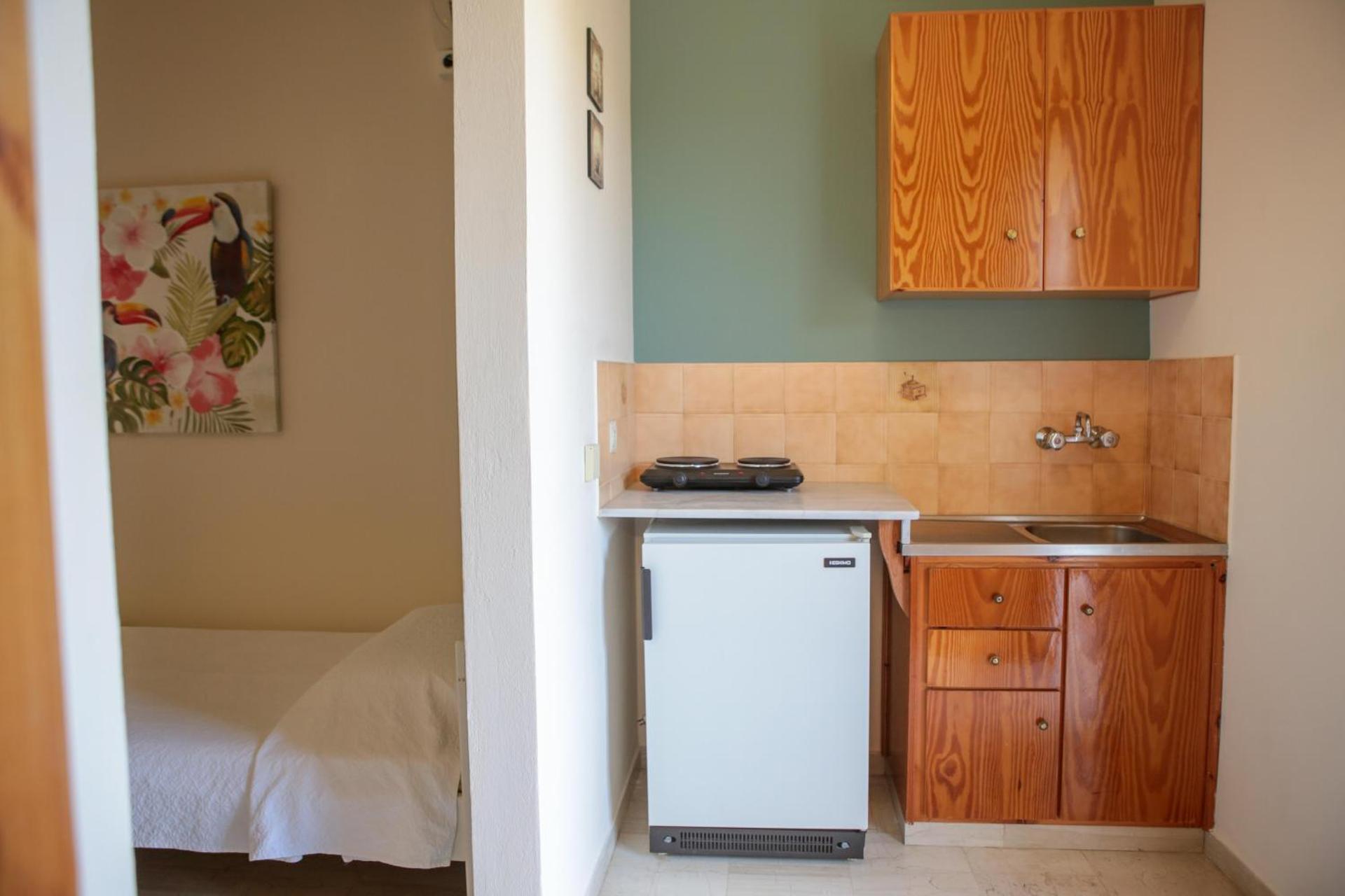 Dendrolivano - Photo 53