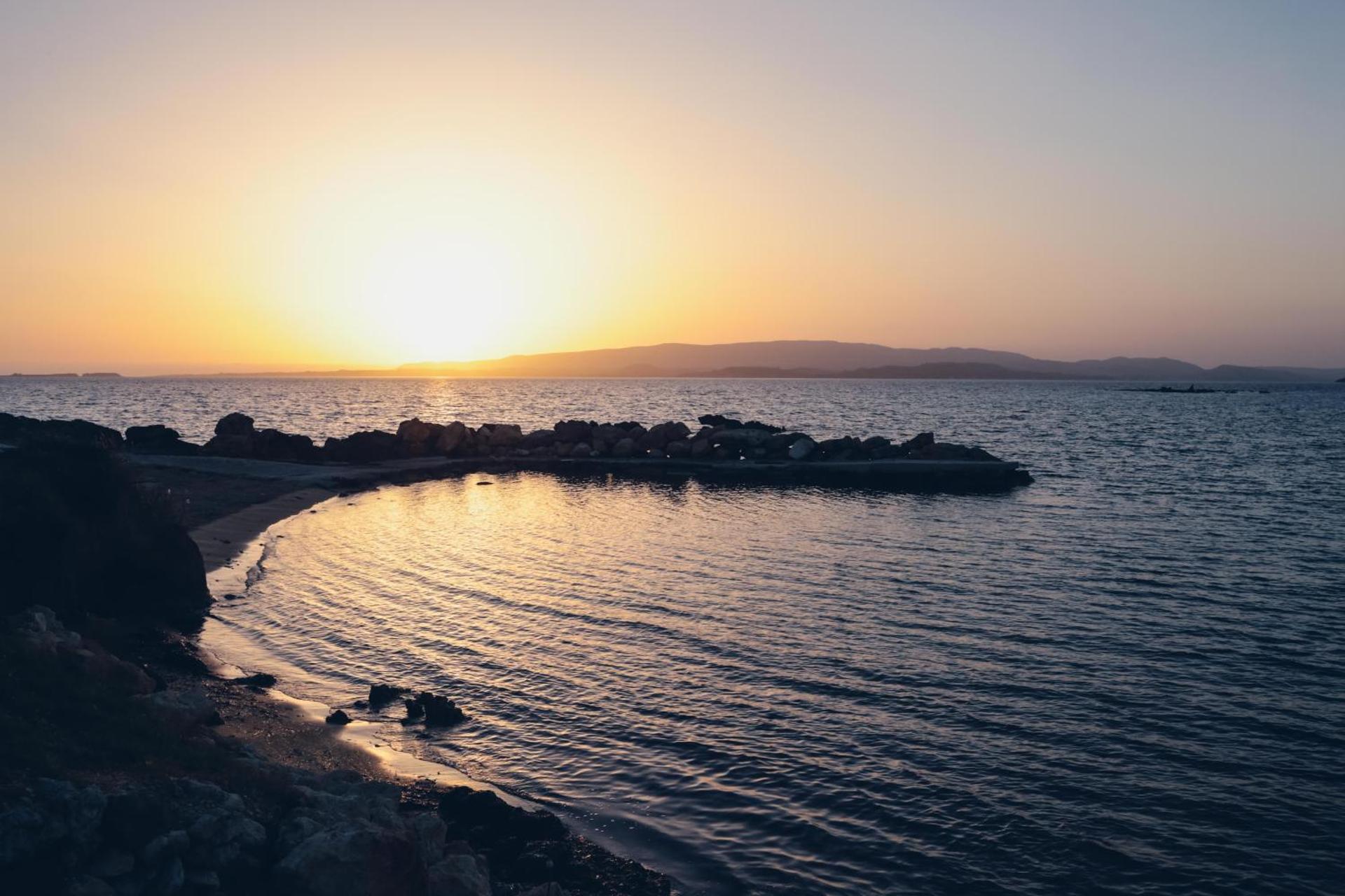 Dendrolivano - Photo 69