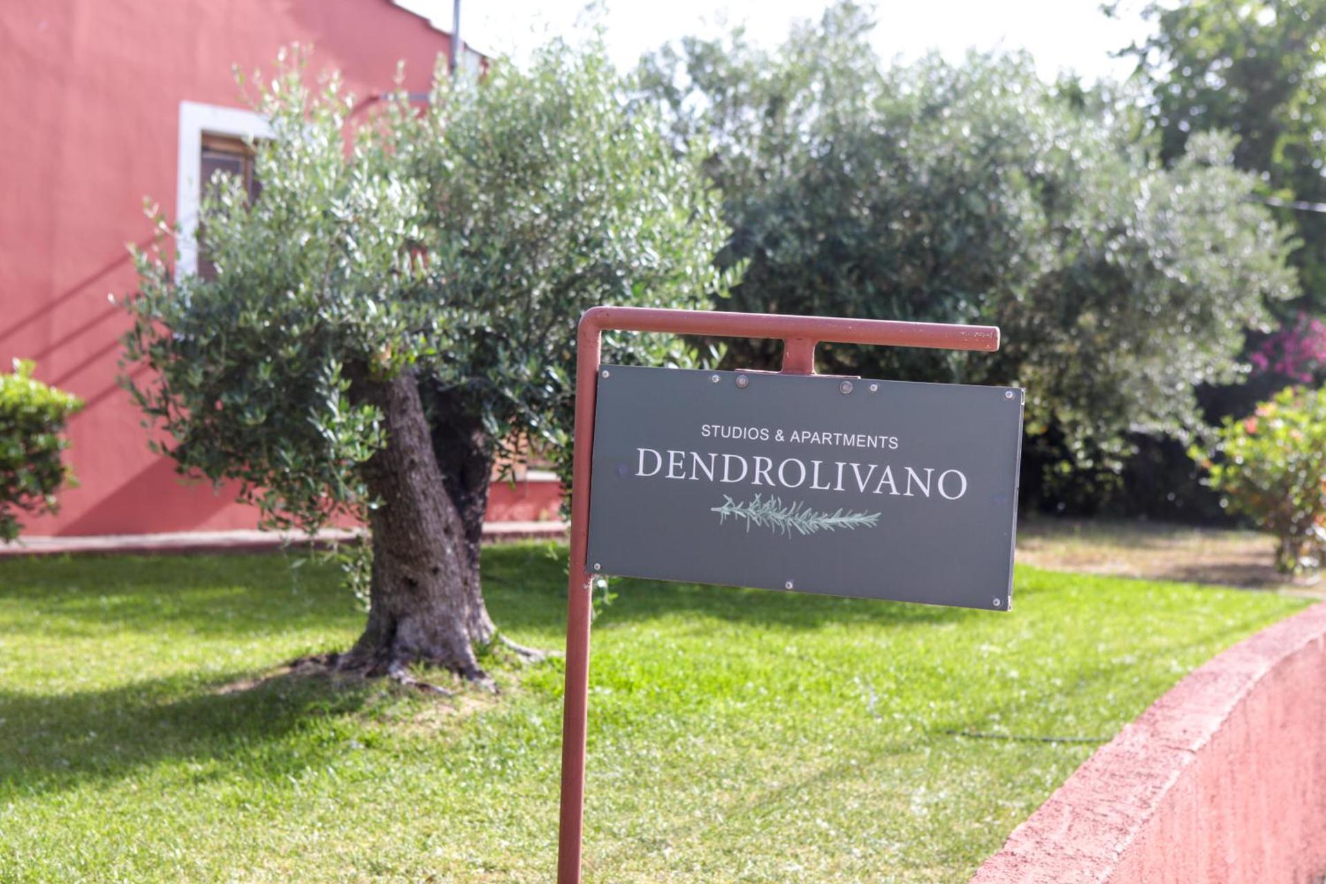 Dendrolivano - Photo 42