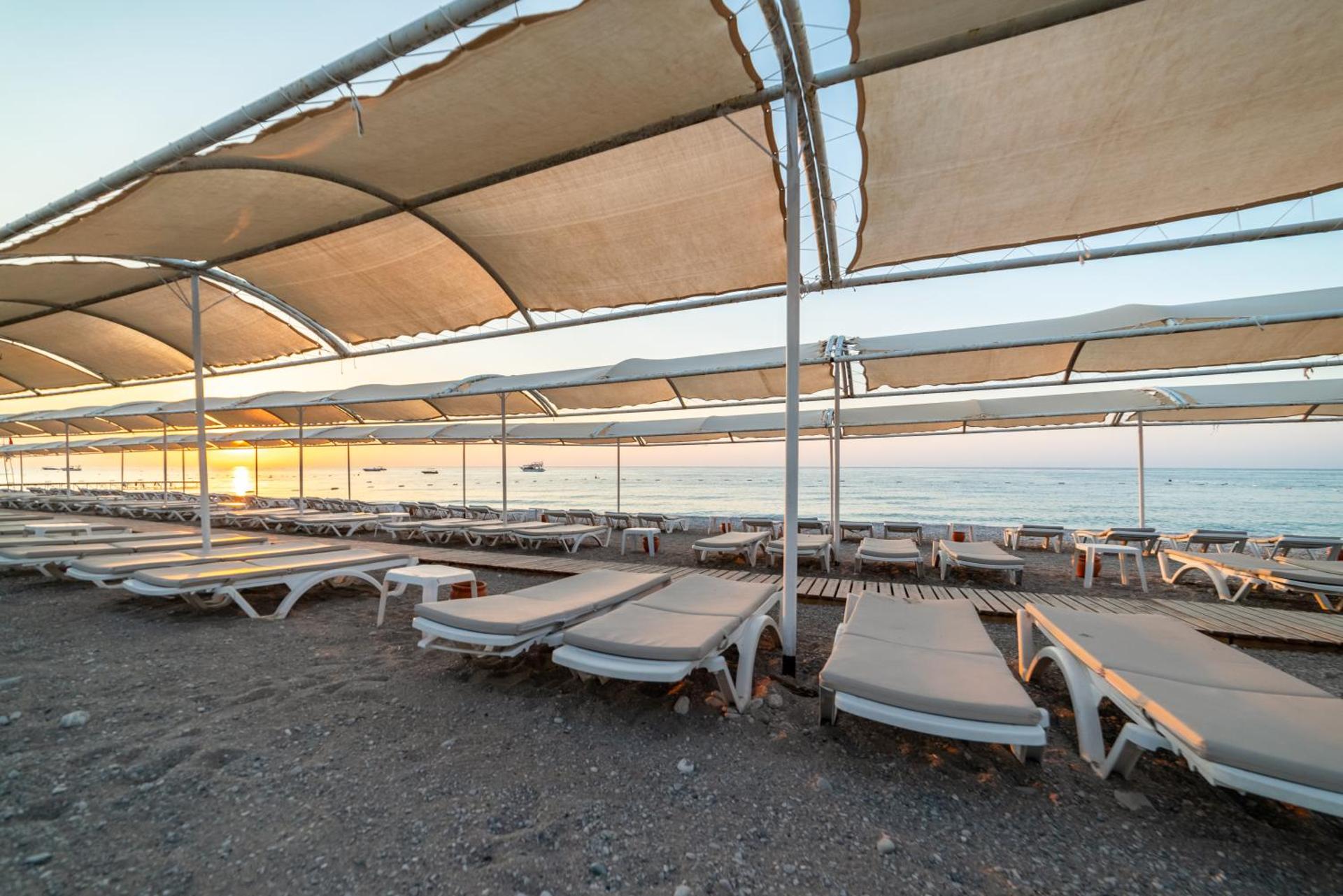 Armas Kaplan Paradise - Photo 23