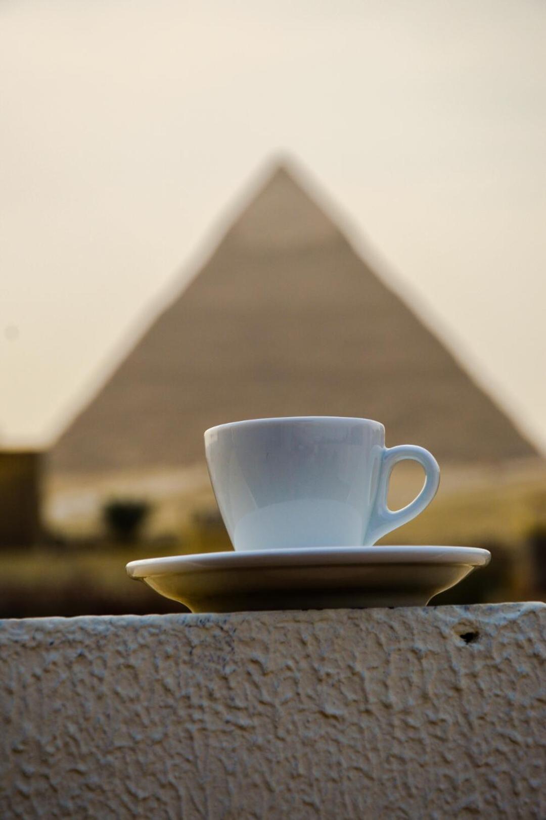 Pyramids Top Inn - Photo 90