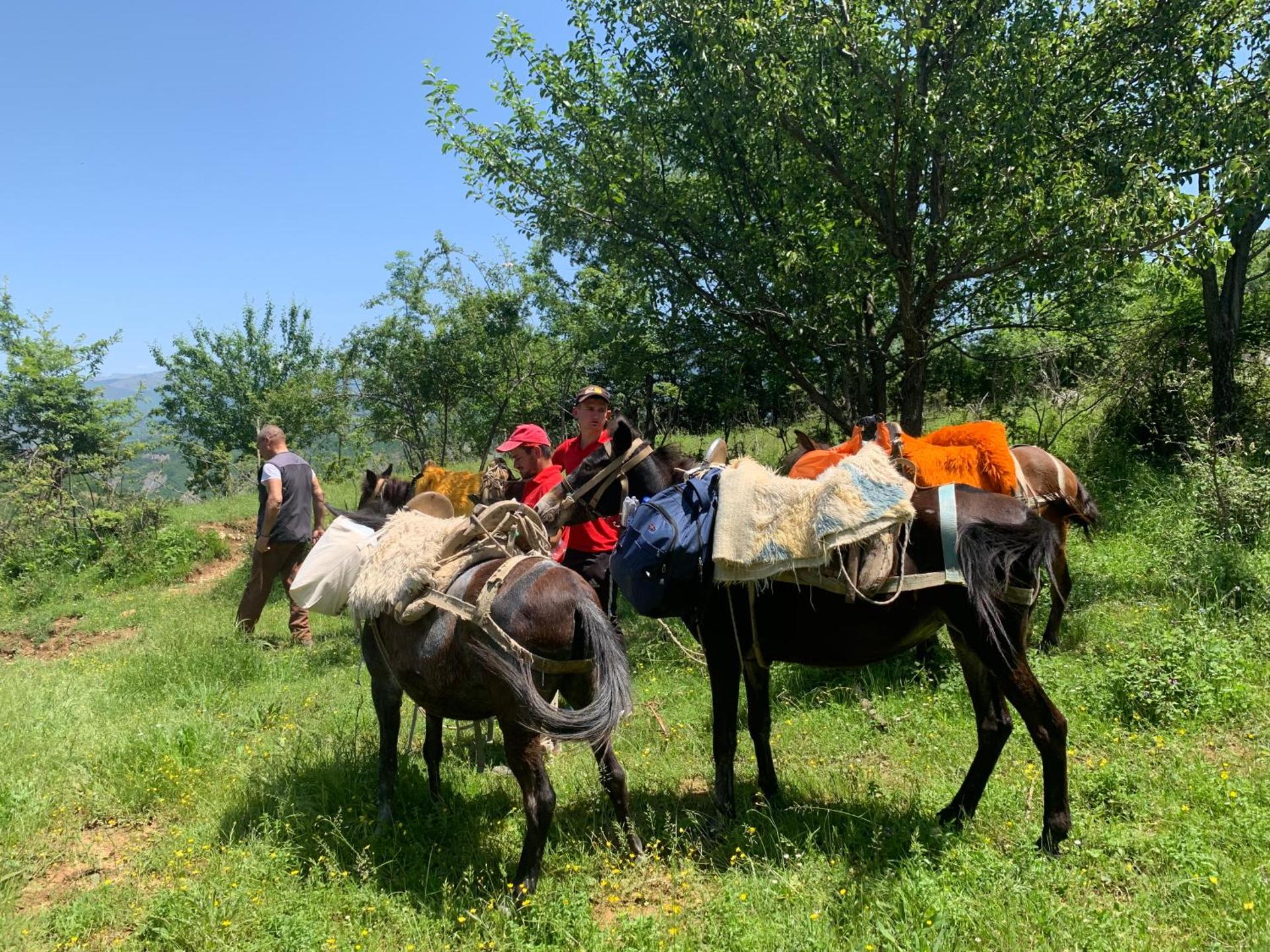 Hotel Castle Park - Photo 52